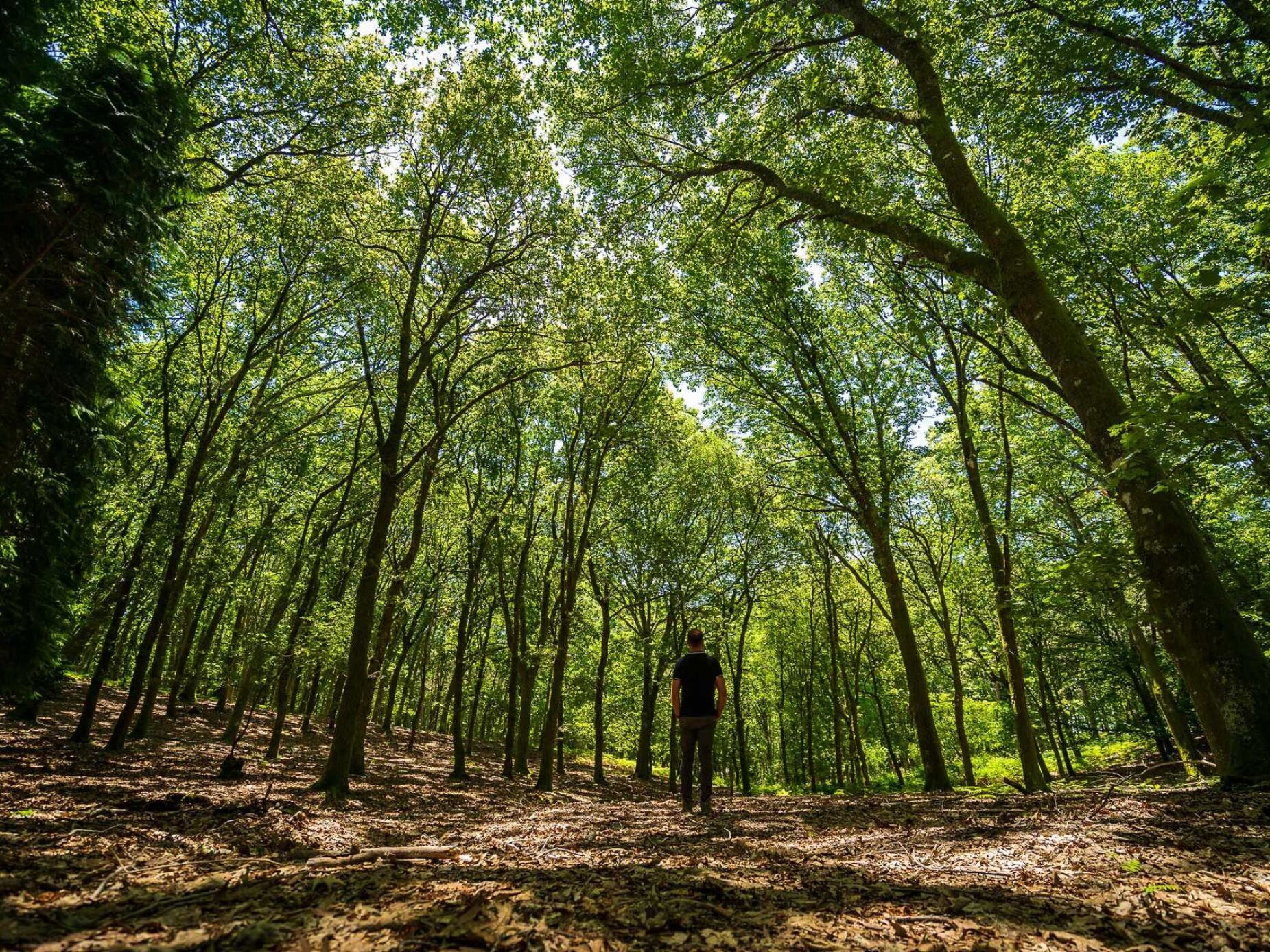 Portugal em “situação de faroeste”: mais de metade do país tem terras sem dono conhecido