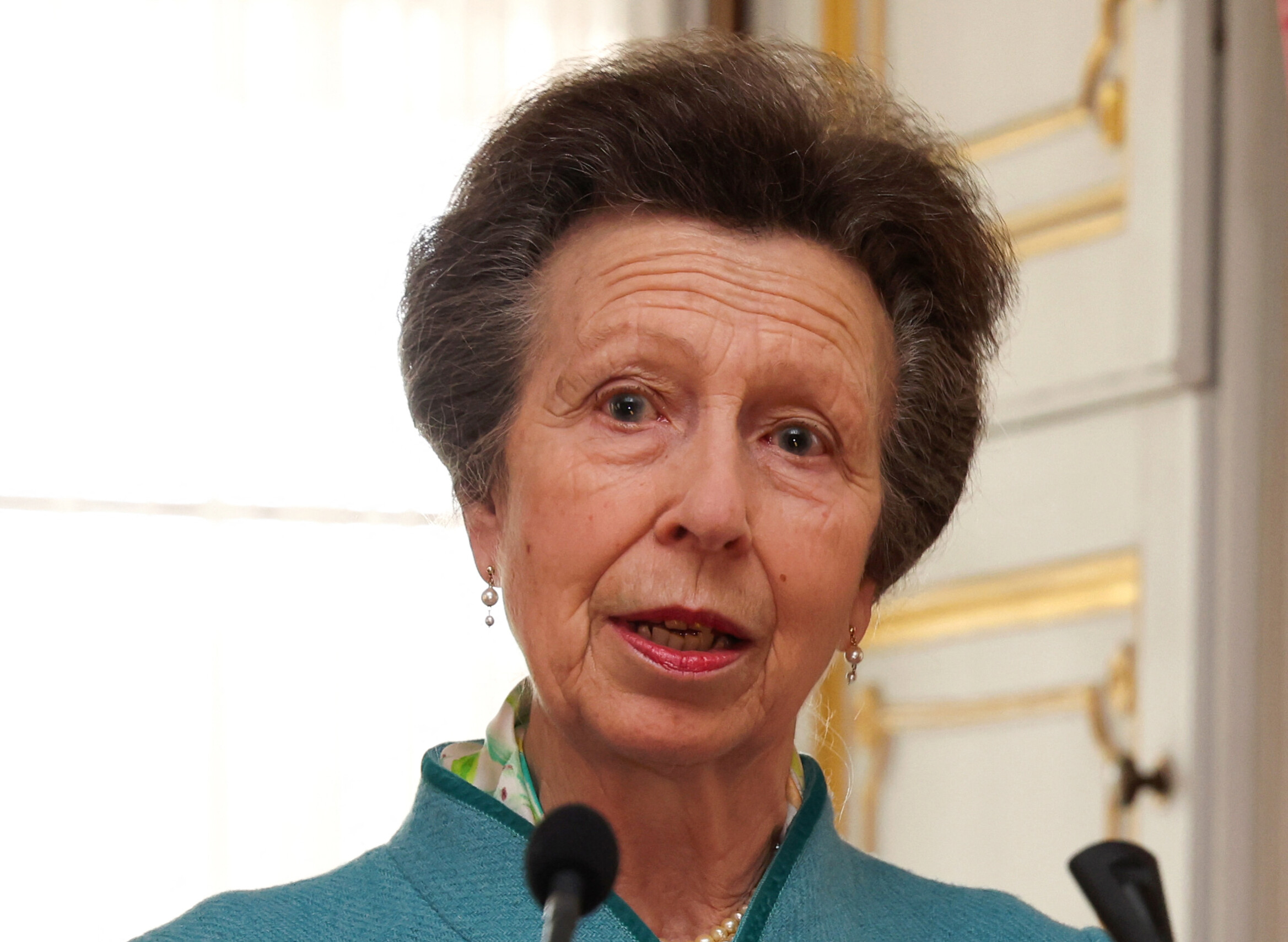 Princess Anne suffers amnesia after being hit by a horse