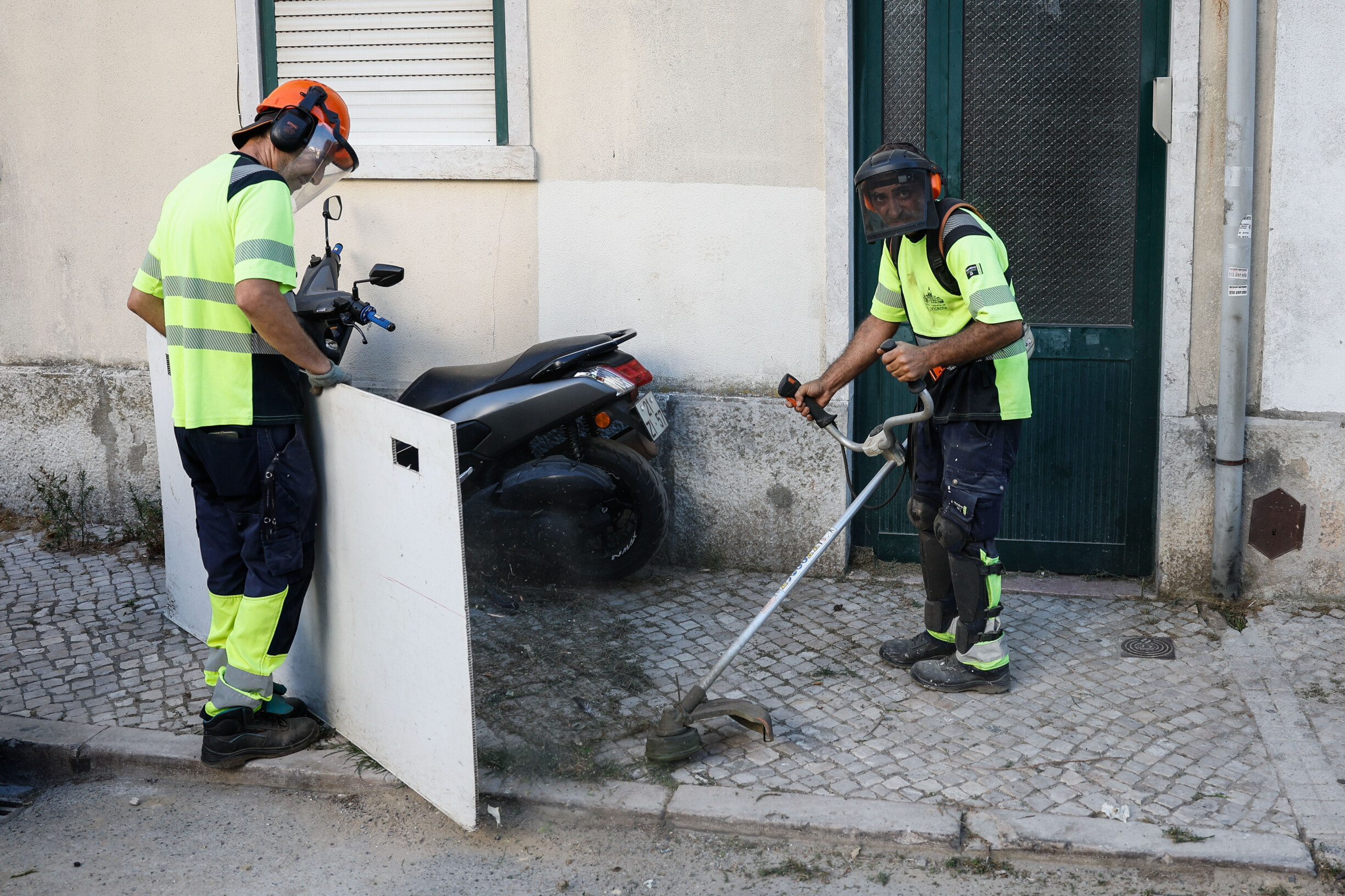 Weeds Take Over Lisbon Sidewalks: A Growing Urban Challenge