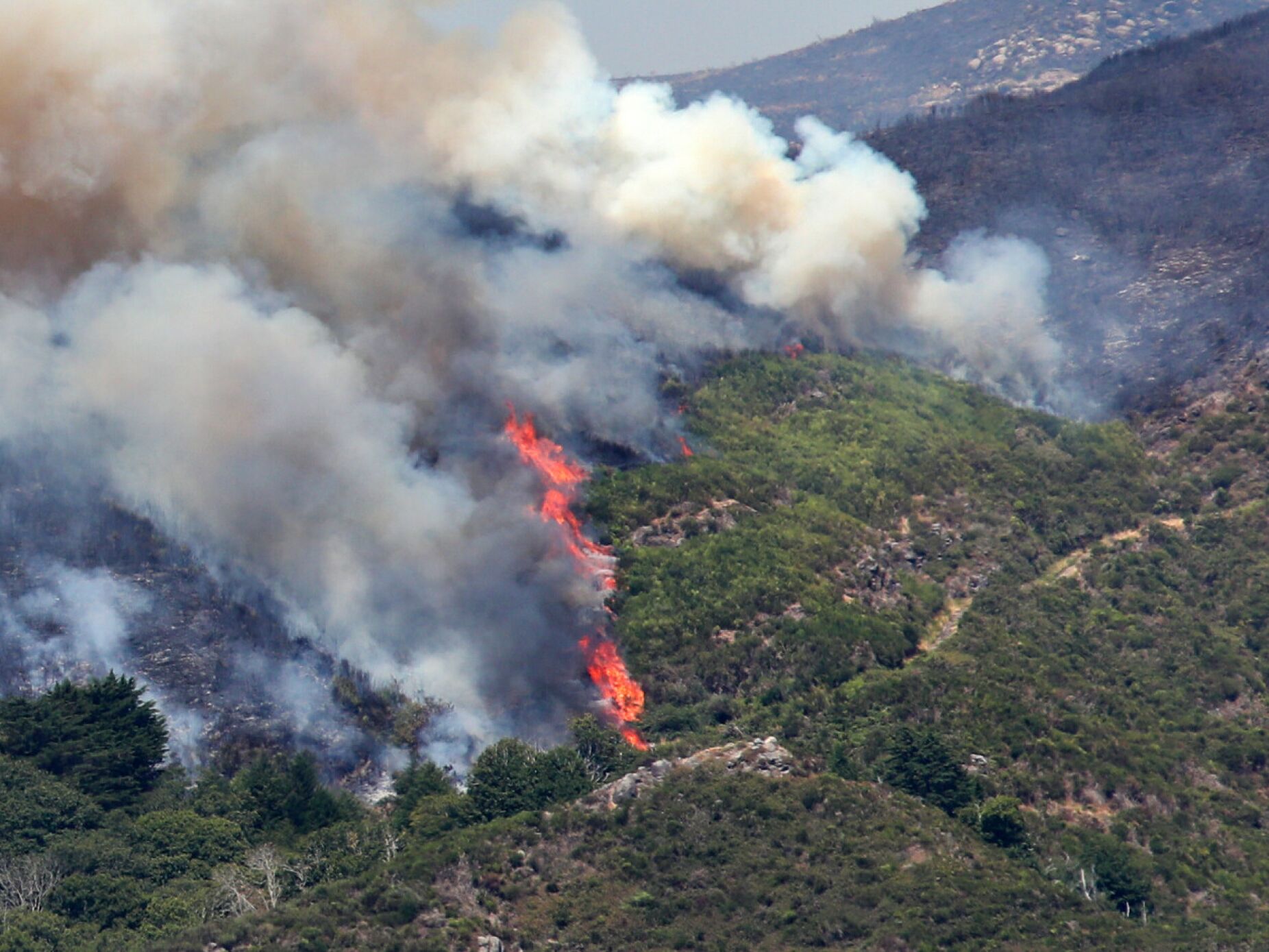 Madeira. MP indica que foi constituído um arguido por suspeita de ter causado o incêndio que lavrou durante 13 dias