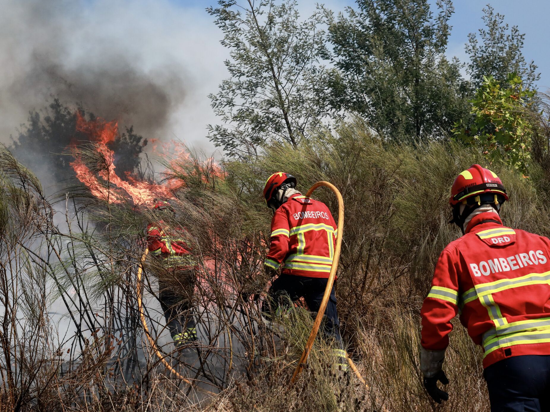 Câmara de Tábua atribui medalha de mérito aos três bombeiros que morreram