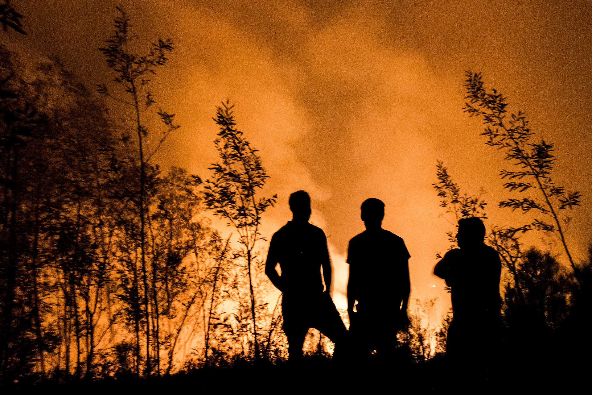 Google führt in Portugal und 14 weiteren Ländern ein Tool zur Waldbrandkartierung ein