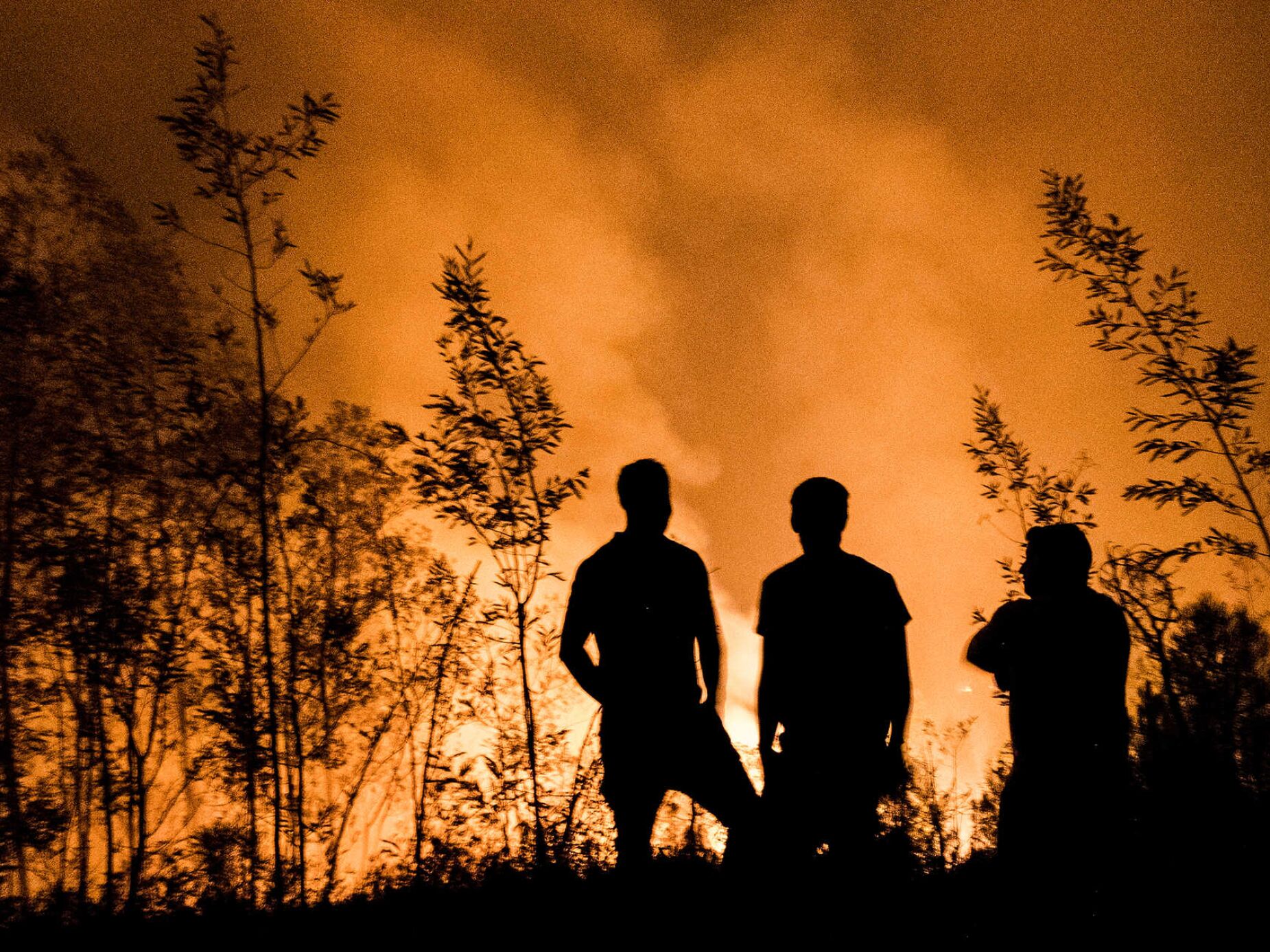 Vítimas de fogos de setembro podem candidatar-se a apoios à habitação até final do ano