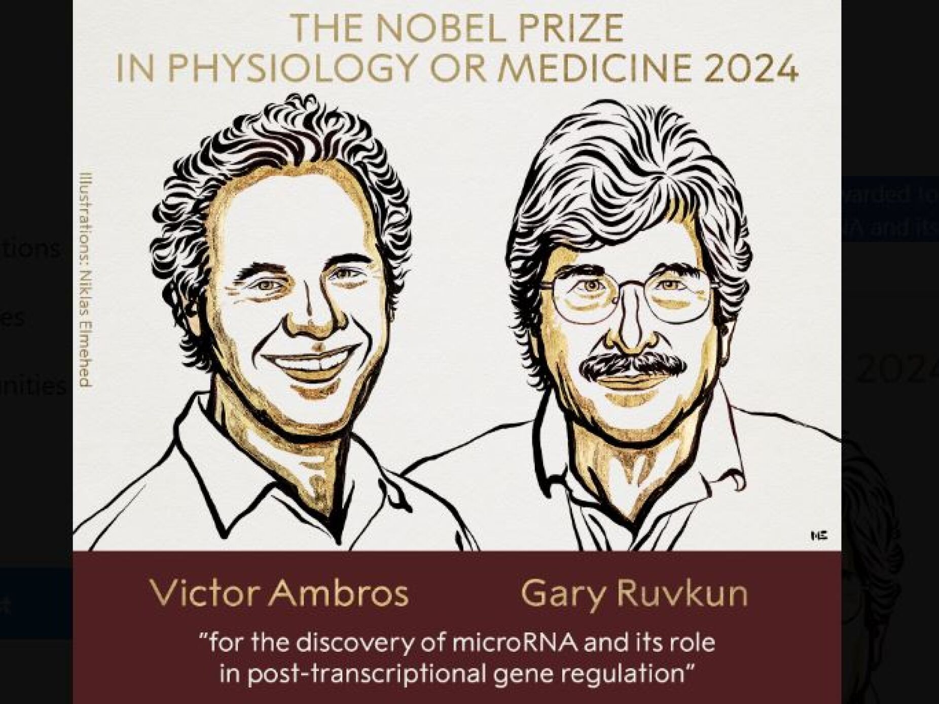 Nobel da Medicina atribuído a Victor Ambros e Gary Ruvkun