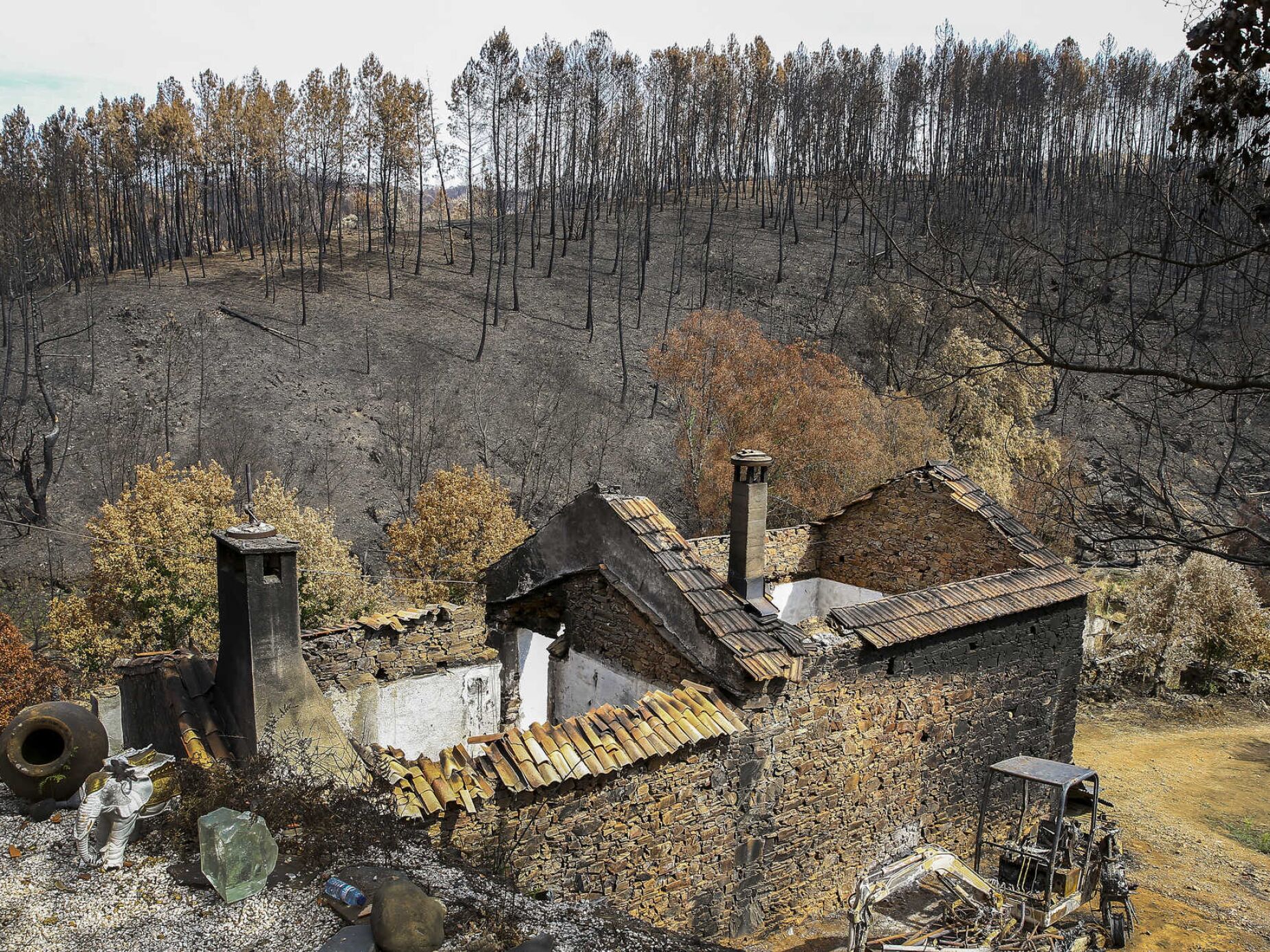 Sete anos depois do trágico incêndio de Pedrógão Grande muito falta fazer no terreno