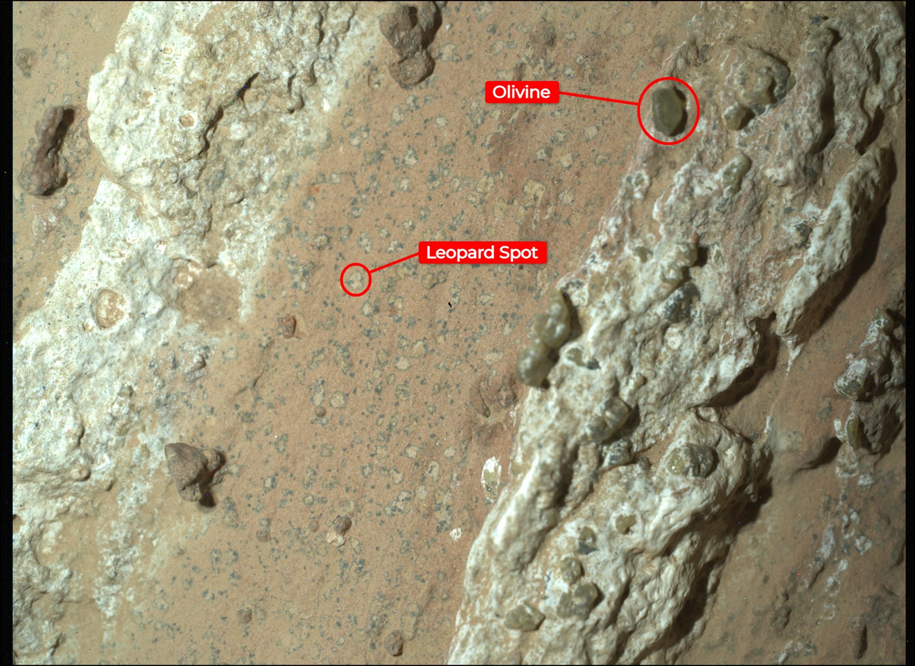 La NASA descubrió una roca en Marte que muestra «signos de vida microbiana»