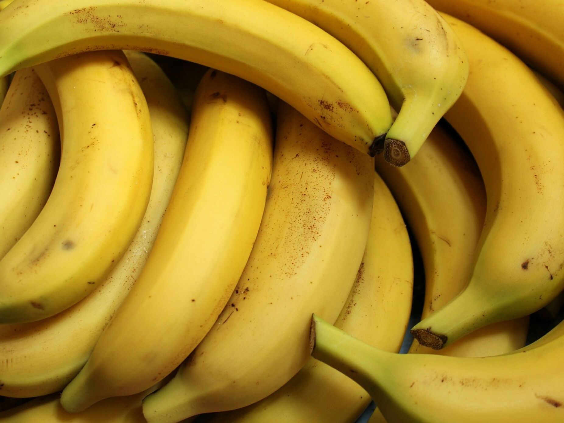 Bananas banidas onde quer que ministra vá devido a "fobia mais estranha do mundo"