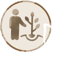 logo-cotton-bio.png