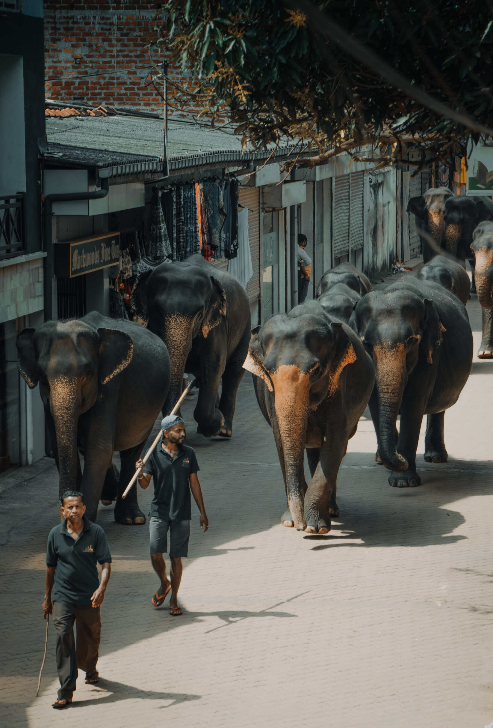 Sri-lanka-10-destinos-tendência-2019 Sri-lanka-10-destinos-tendência-2019