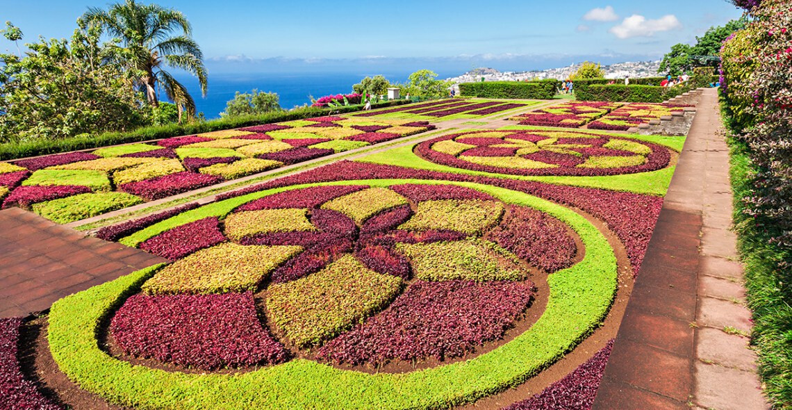 Jardim-Bot&acirc;nico-da-Madeira-visitar-a-Madeira