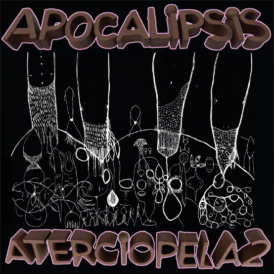 musica-apocalipsis-aterciopelados-revista-alemmar