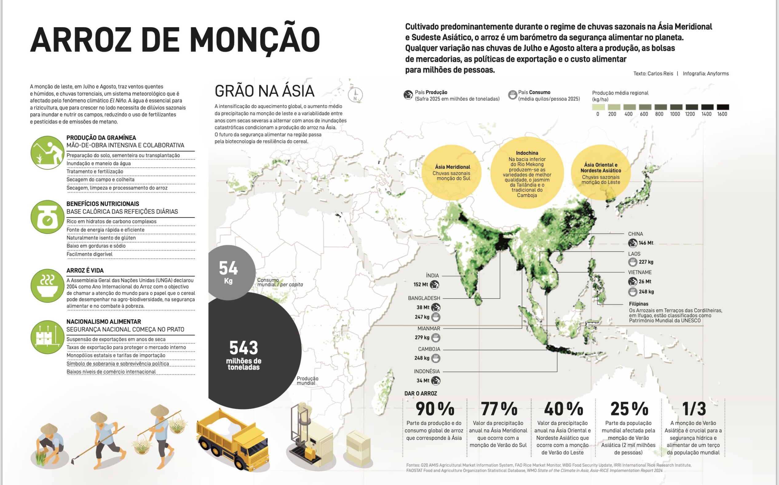 visualisacao-completa-arroz