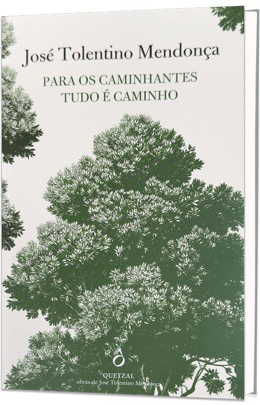 livros-caminhantes-caminho-cardeal-tolentino-revista-alemmar livros-caminhantes-caminho-cardeal-tolentino-revista-alemmar
