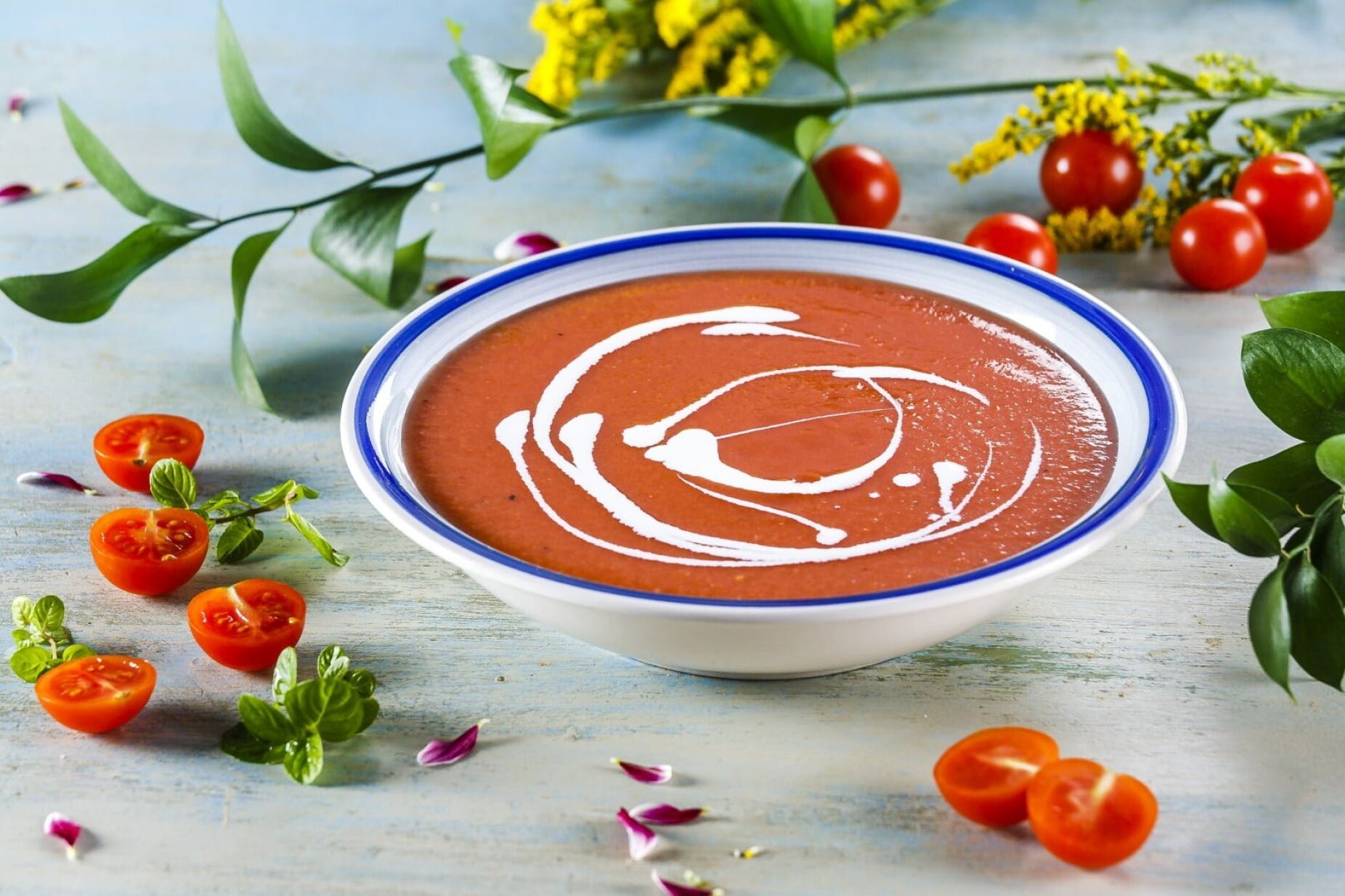 Sopa fresca de tomate com iogurte (receita especial para grávidas)