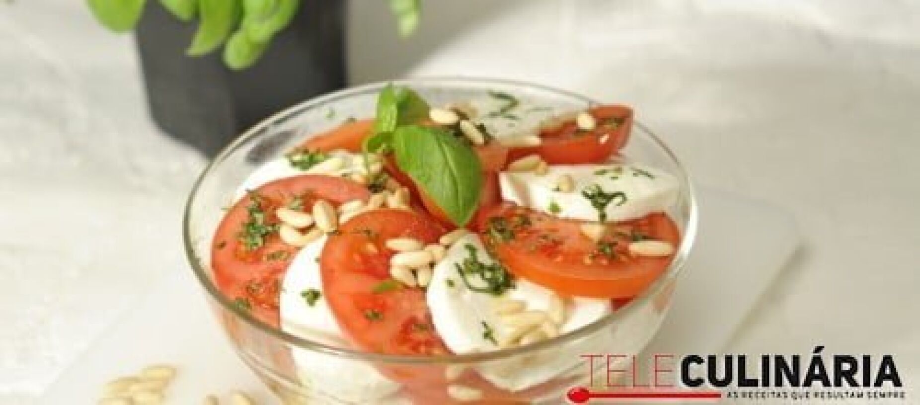 Salada fresca de tomate e queijo