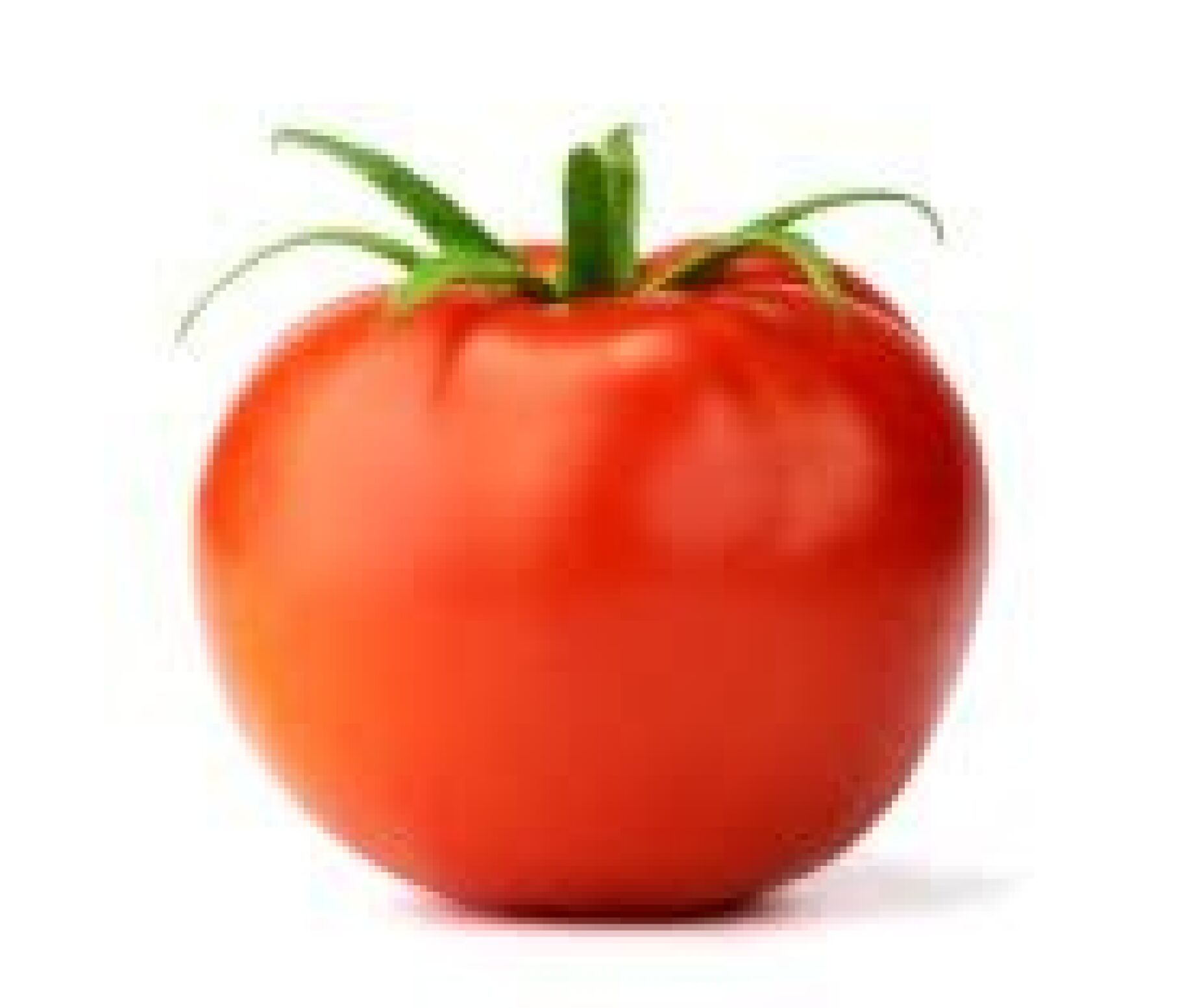 Cortar a acidez do tomate cozinhado