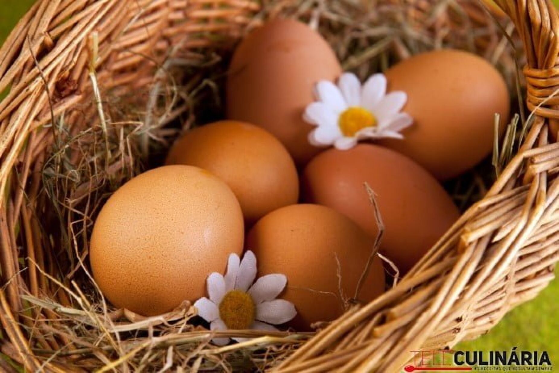 Ovos enriquecidos com Ómega 3 são bons para o colesterol