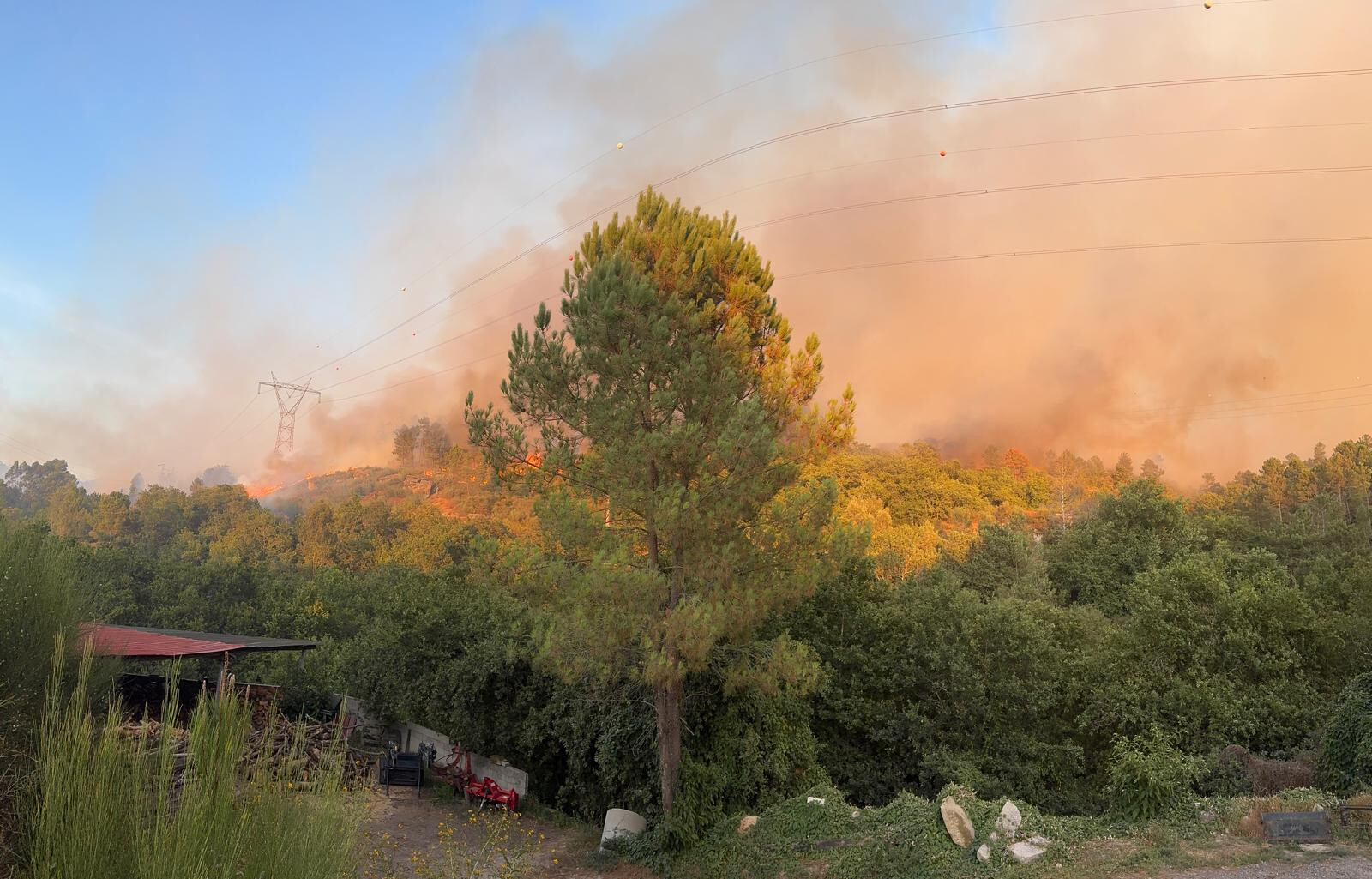 Wildfire in Ponte da Barca Destroys Outbuildings and Claims Animal Lives - Residents Evacuated as Precaution