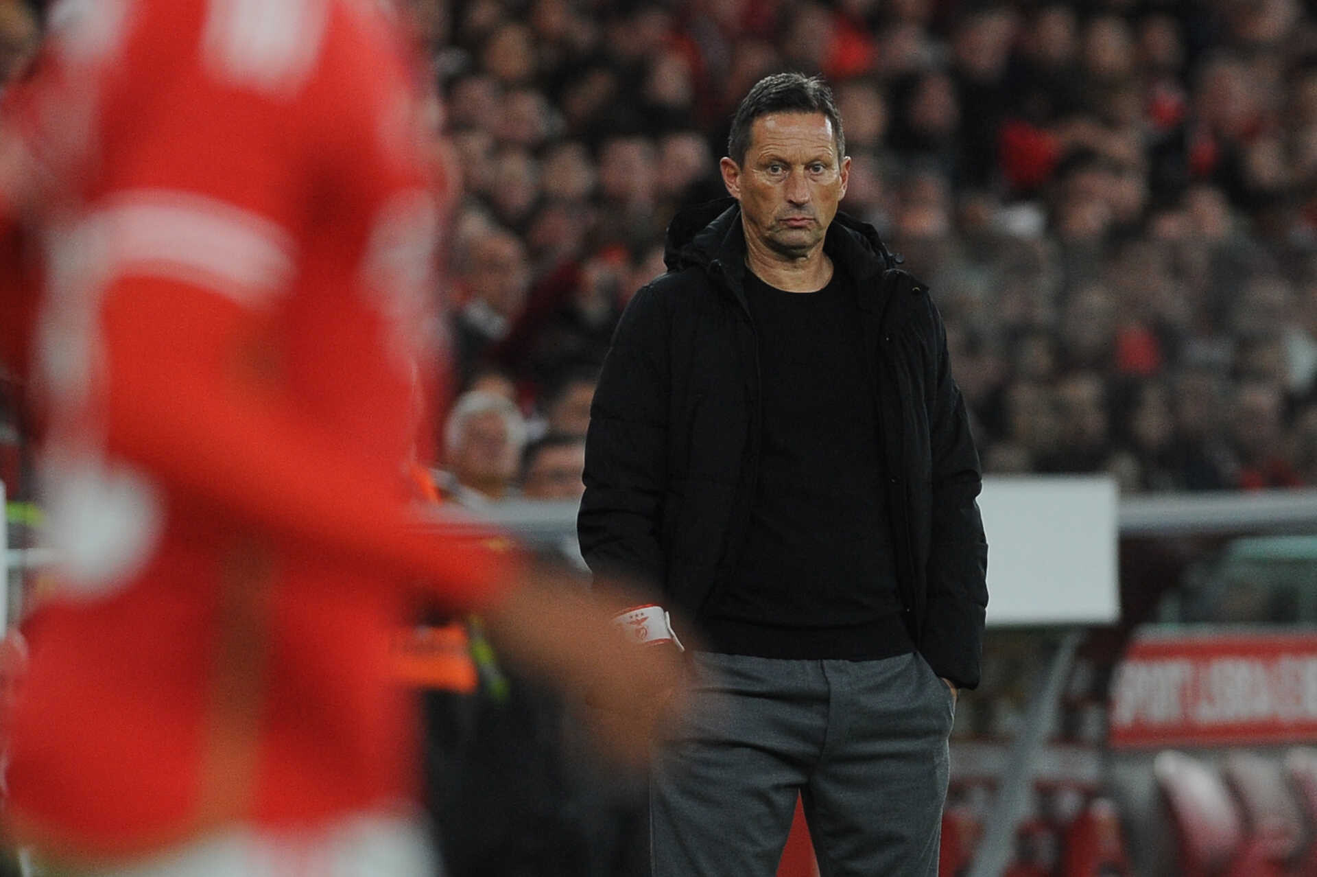 Benfica Roger Schmidt Pós Jogo Sporting - SL Benfica