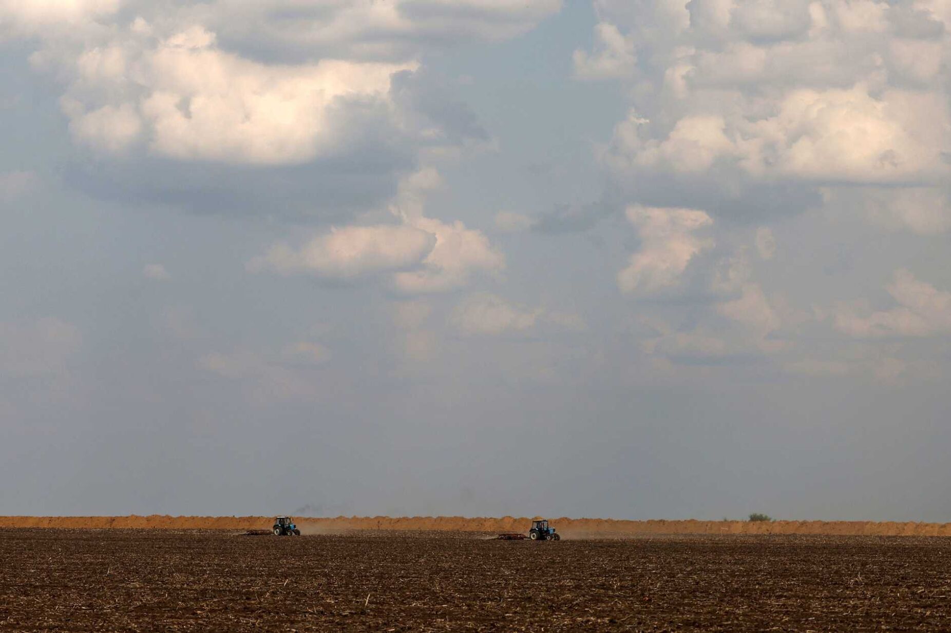Menor colheita de cereais este ano na Ucrânia terá repercussões globais