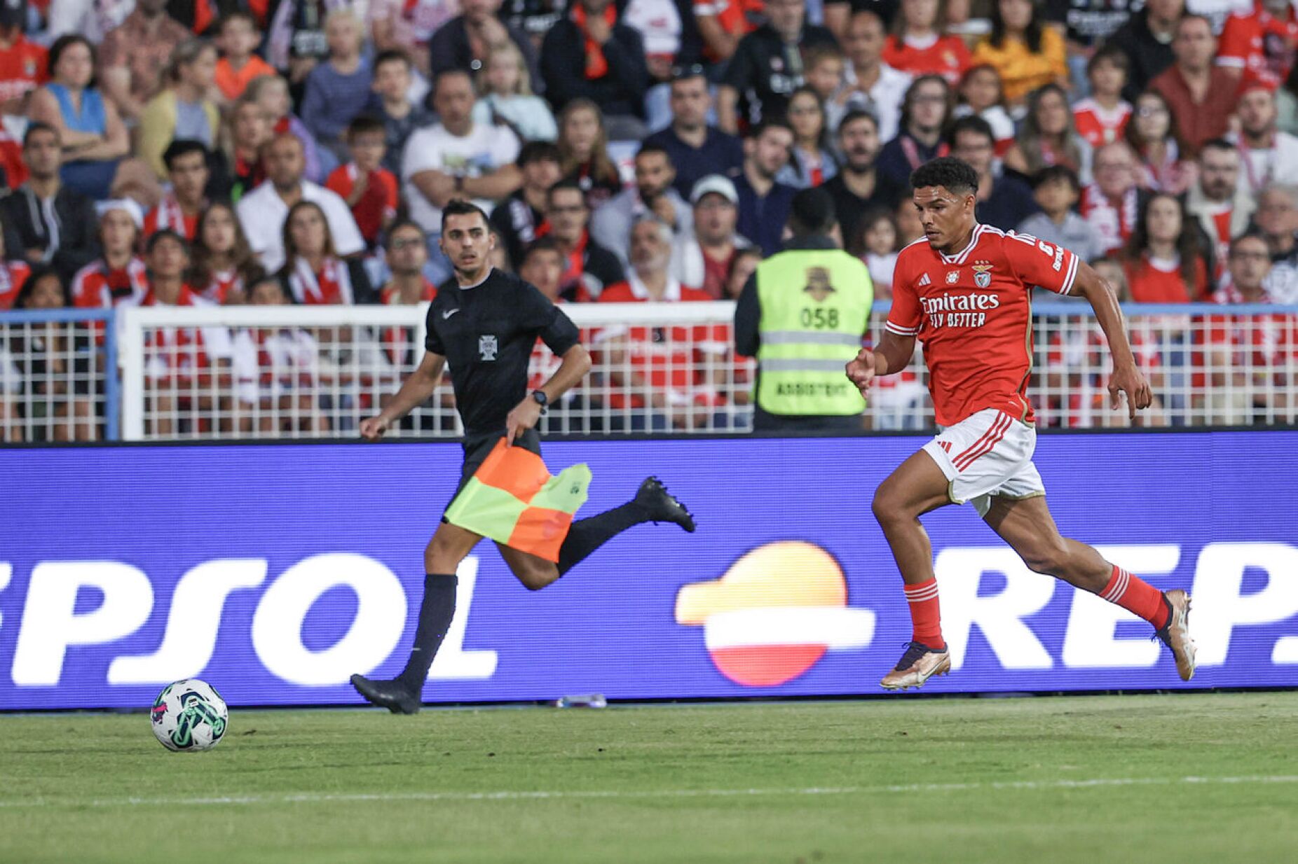 Em Defesa do Benfica