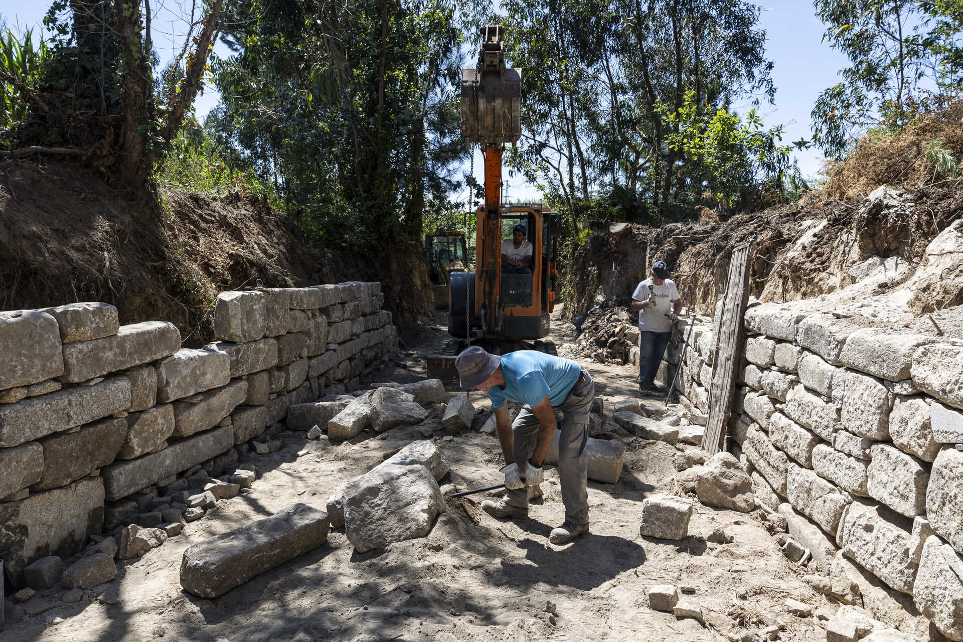 Bicicleteria pompeya online