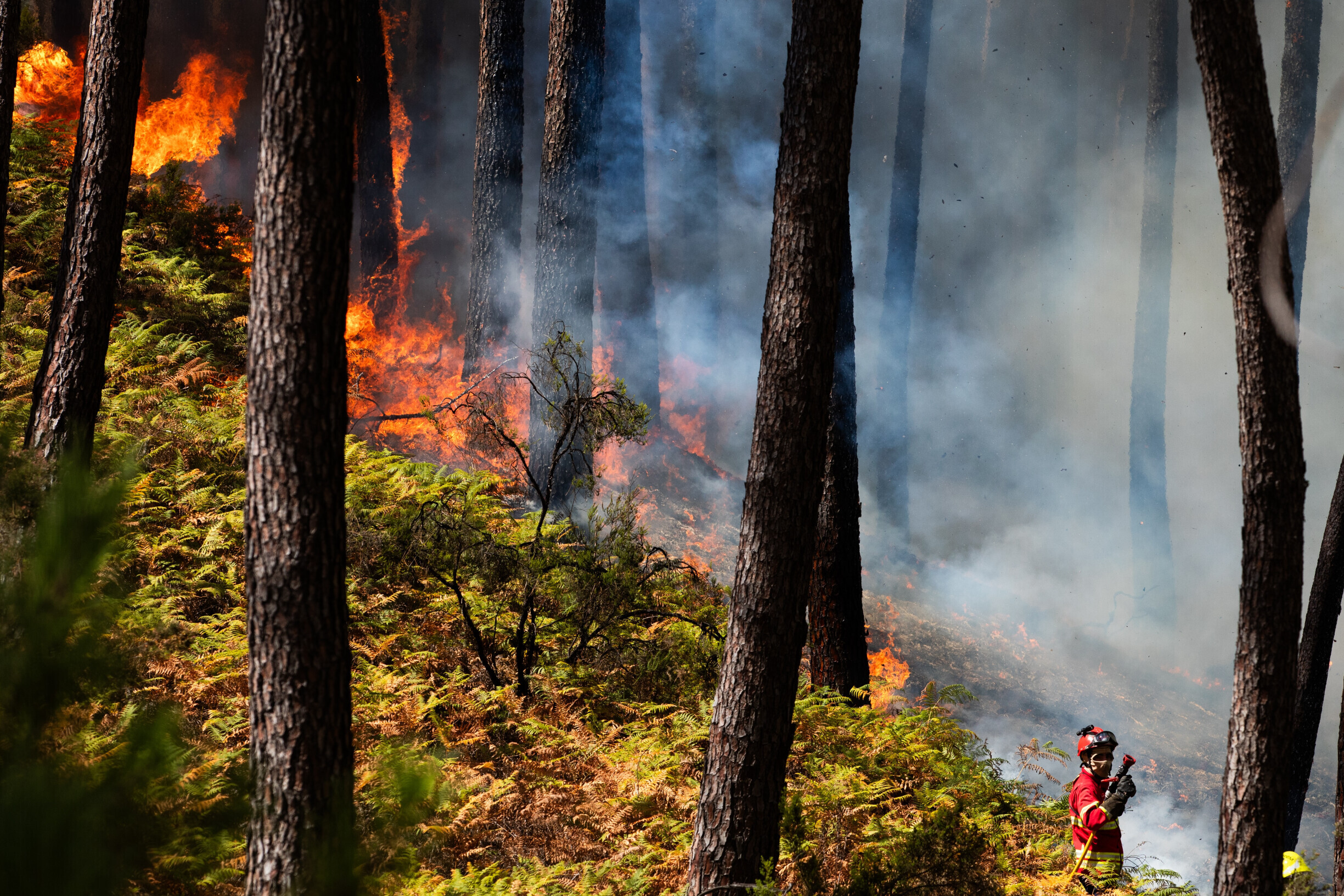 Wildfire in Ponte da Barca Engulfs 40 Hectares, Threatens to Cross into Soajo