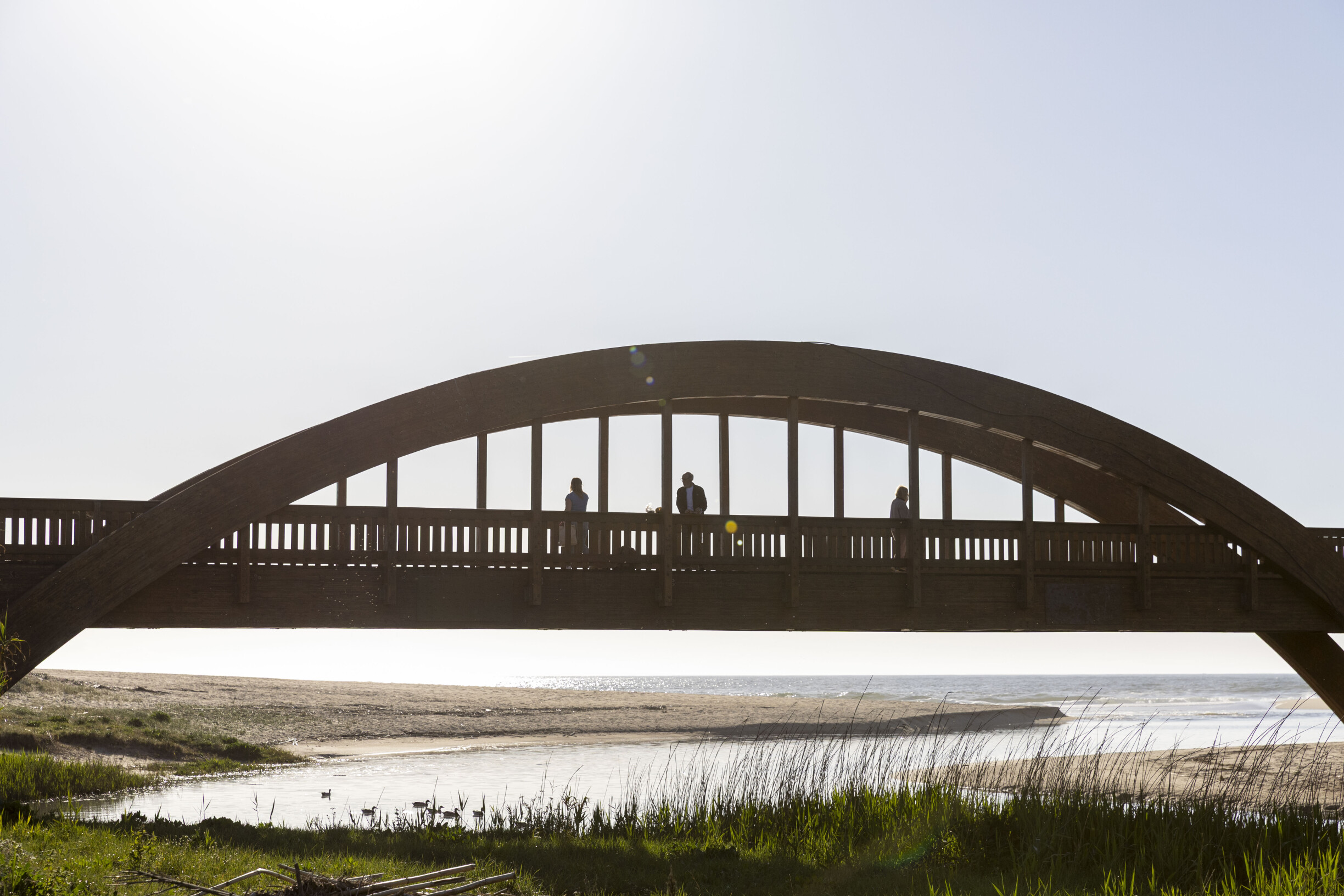 Lactogal Struggles with Wastewater Solution in Vila do Conde: Environmental Concerns Rise
