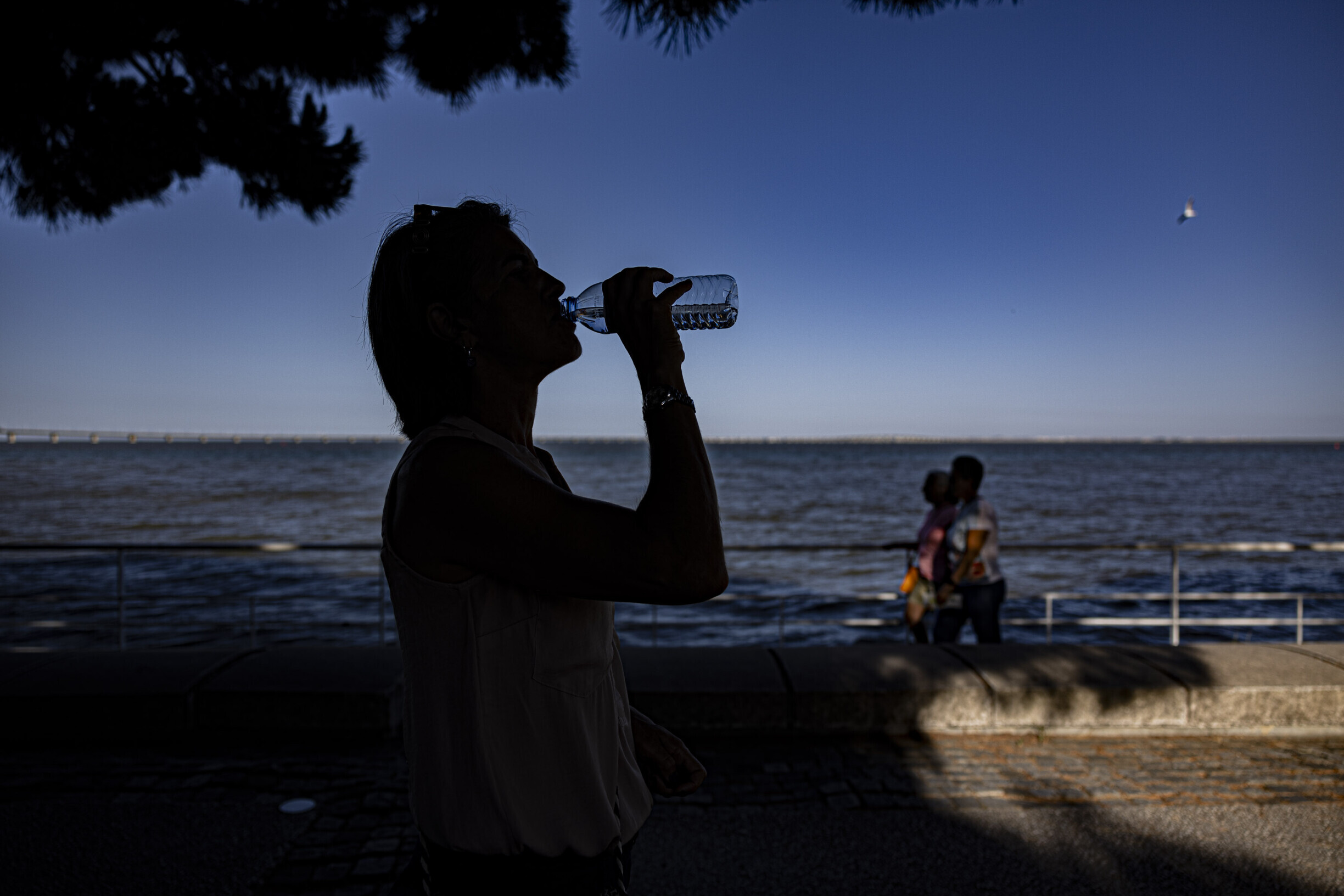 Portugal Braces for Scorching Heatwave with Temperatures Soaring Above 40°C and High Fire Risk Nationwide