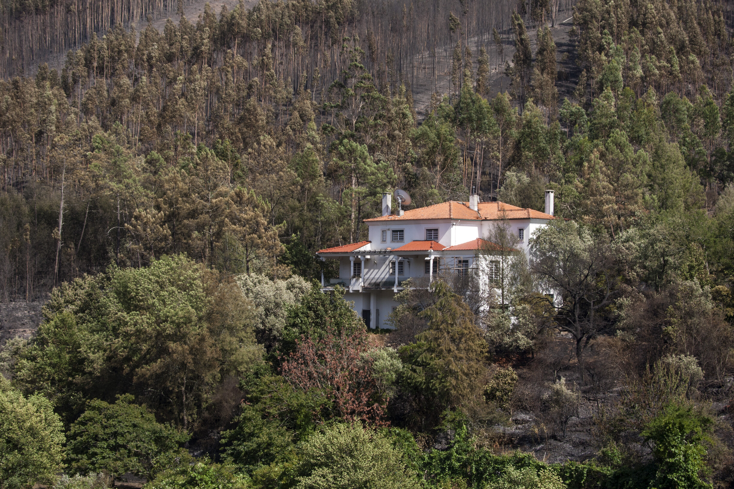 Portugal's Minister of Cohesion Stands Firm Against Building in Fields and Forests