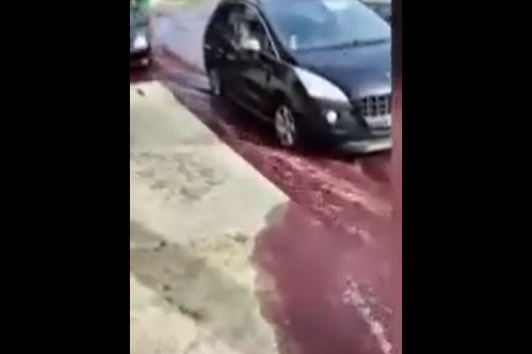 Inundação de vinho tinto nas ruas de Anadia