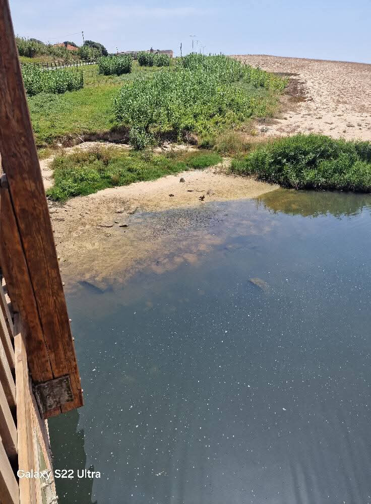 Lactogal Faces Heavy Fines for Environmental Damage in Onda River Scandal