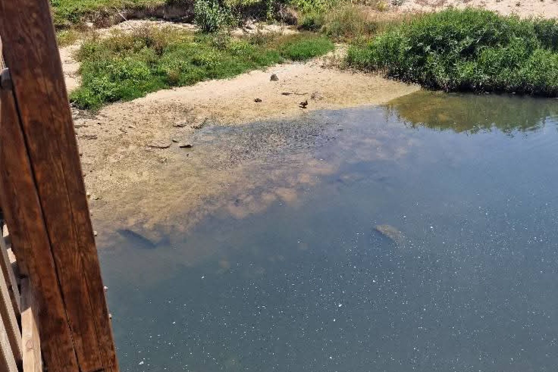 Pollution focus in the Onda River killed fish, ducks, and other birds