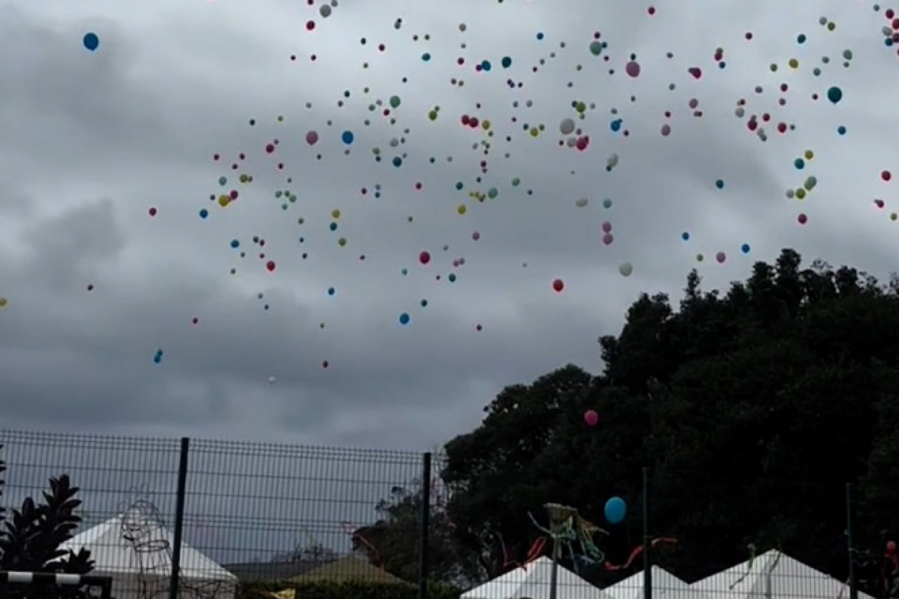 Balloon Release Impact