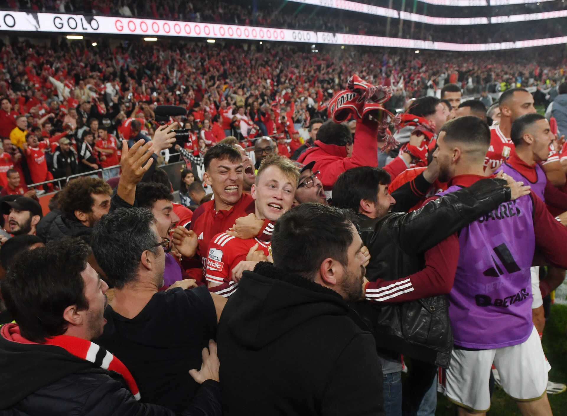 Adeptos Do Benfica Foram Loucura E Festejaram Com Os Jogadores Veja