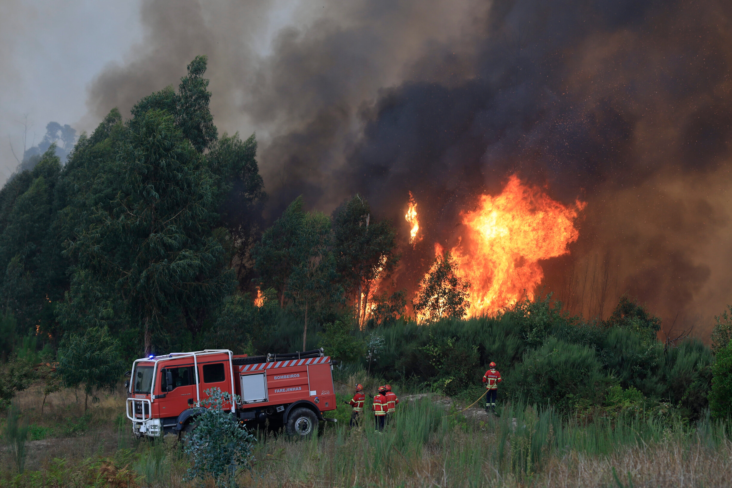 Wildfires Rage in Arouca, Sever do Vouga, and Castro Daire: What You Need to Know