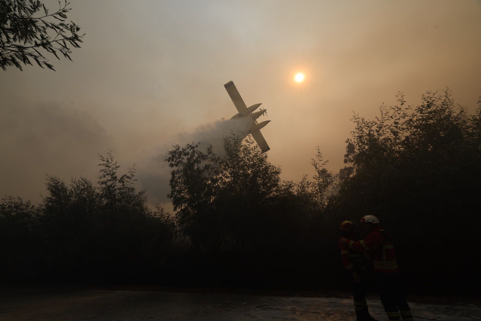 Devastation from the Wildfire