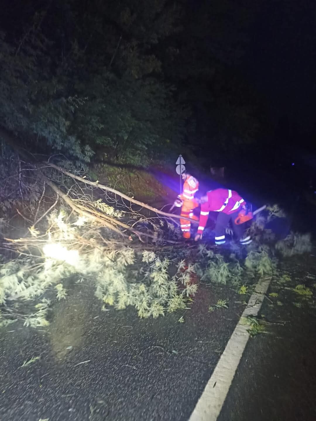 Severe Weather Disrupts Train Services and Topples Trees in Minho Region