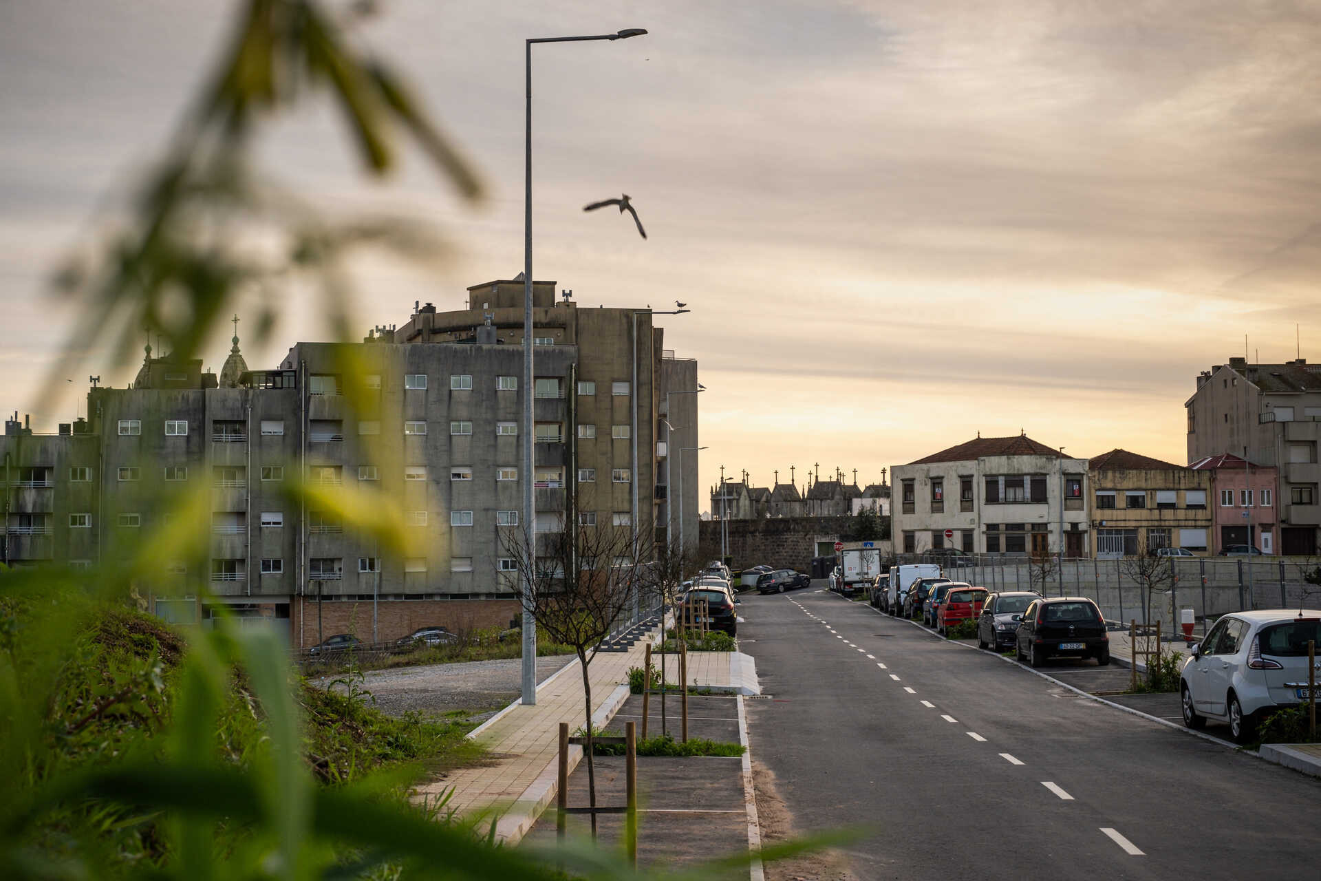 Rua Gisberta Salce Júnior vai receber investimento de 4,65 milhões