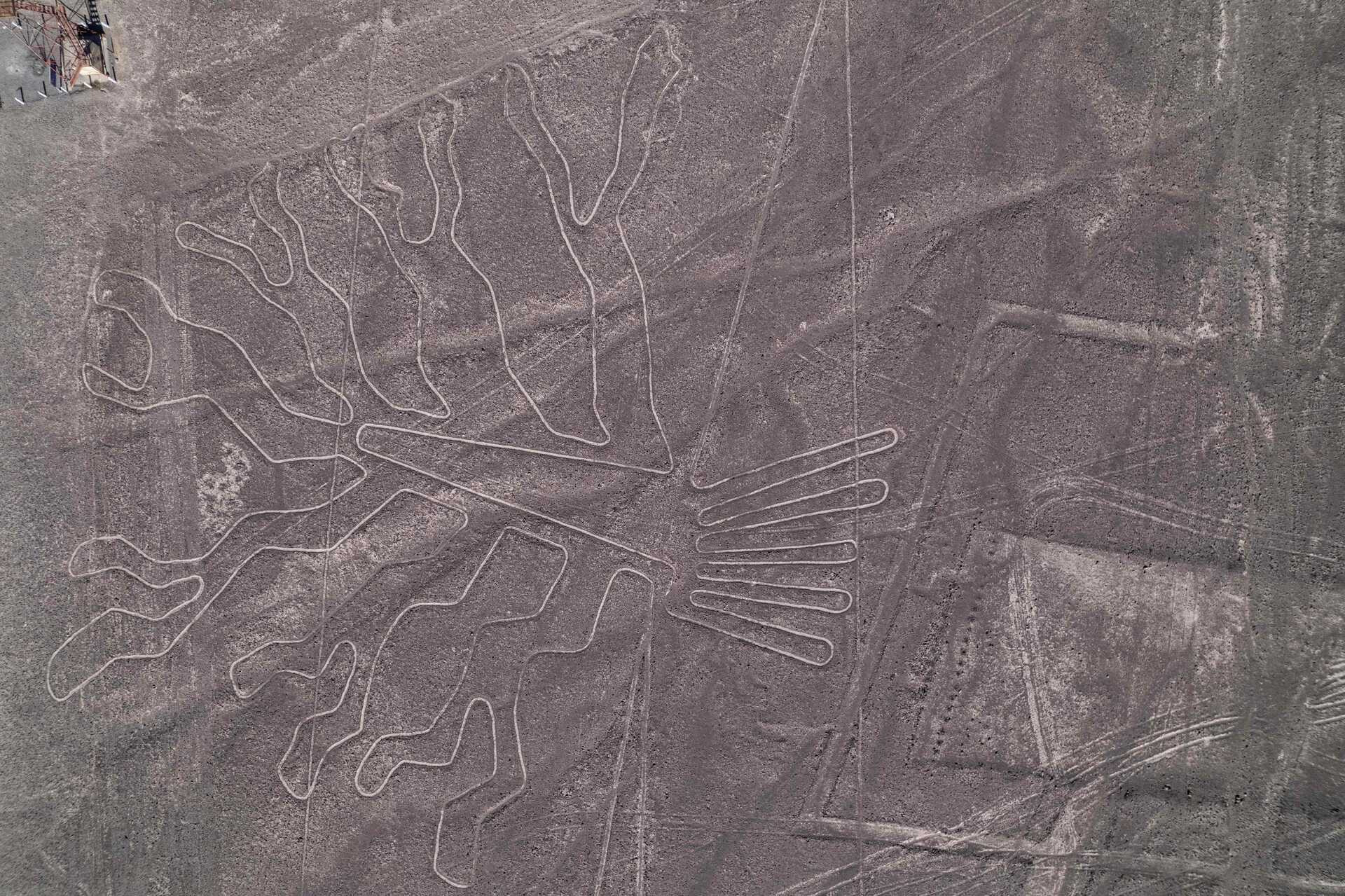 29 geoglifos de alrededor de 2.300 años descubiertos en Perú