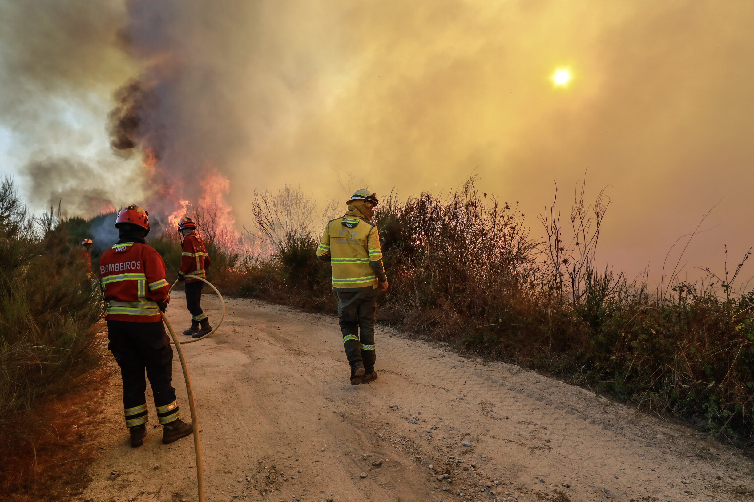 Wildfires Rage Across Portugal: Over 5,000 Firefighters Mobilized Amidst Tragic Circumstances