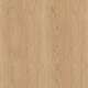 Solid Wood and Veneer - Oak