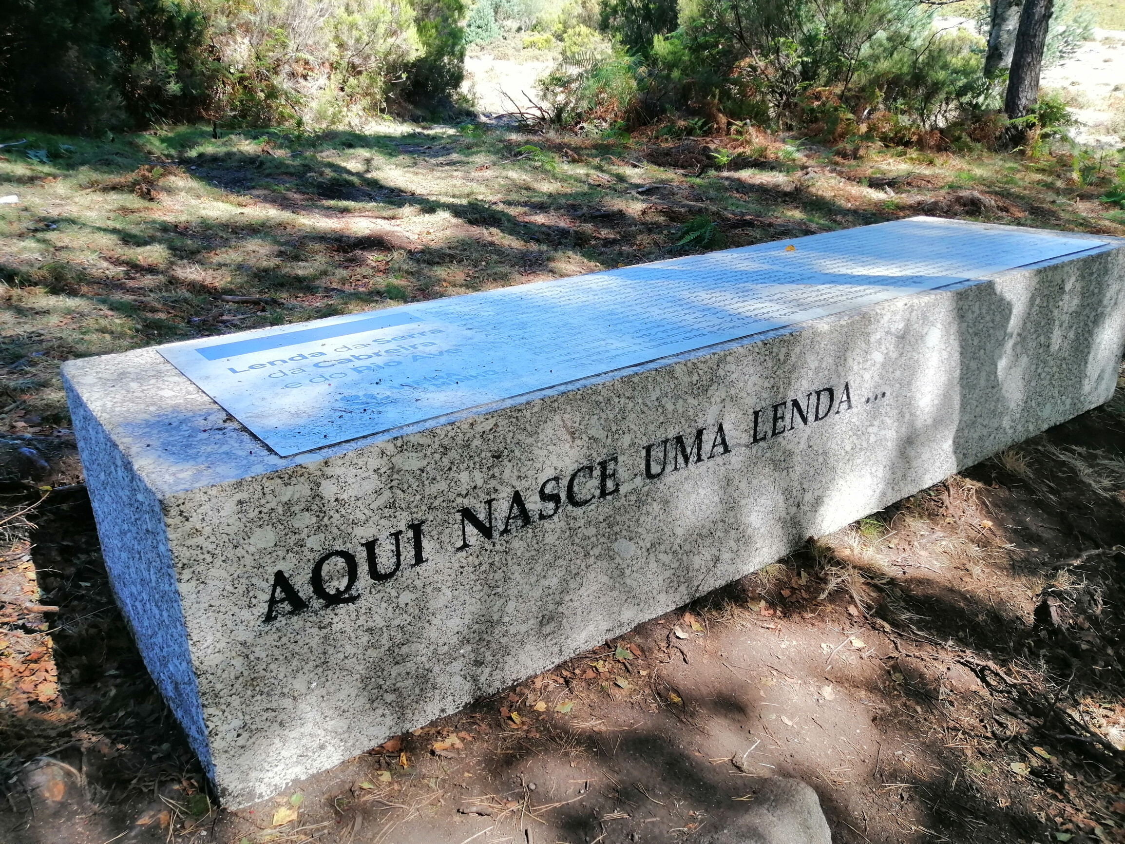 pp-nascente-do-ave-194