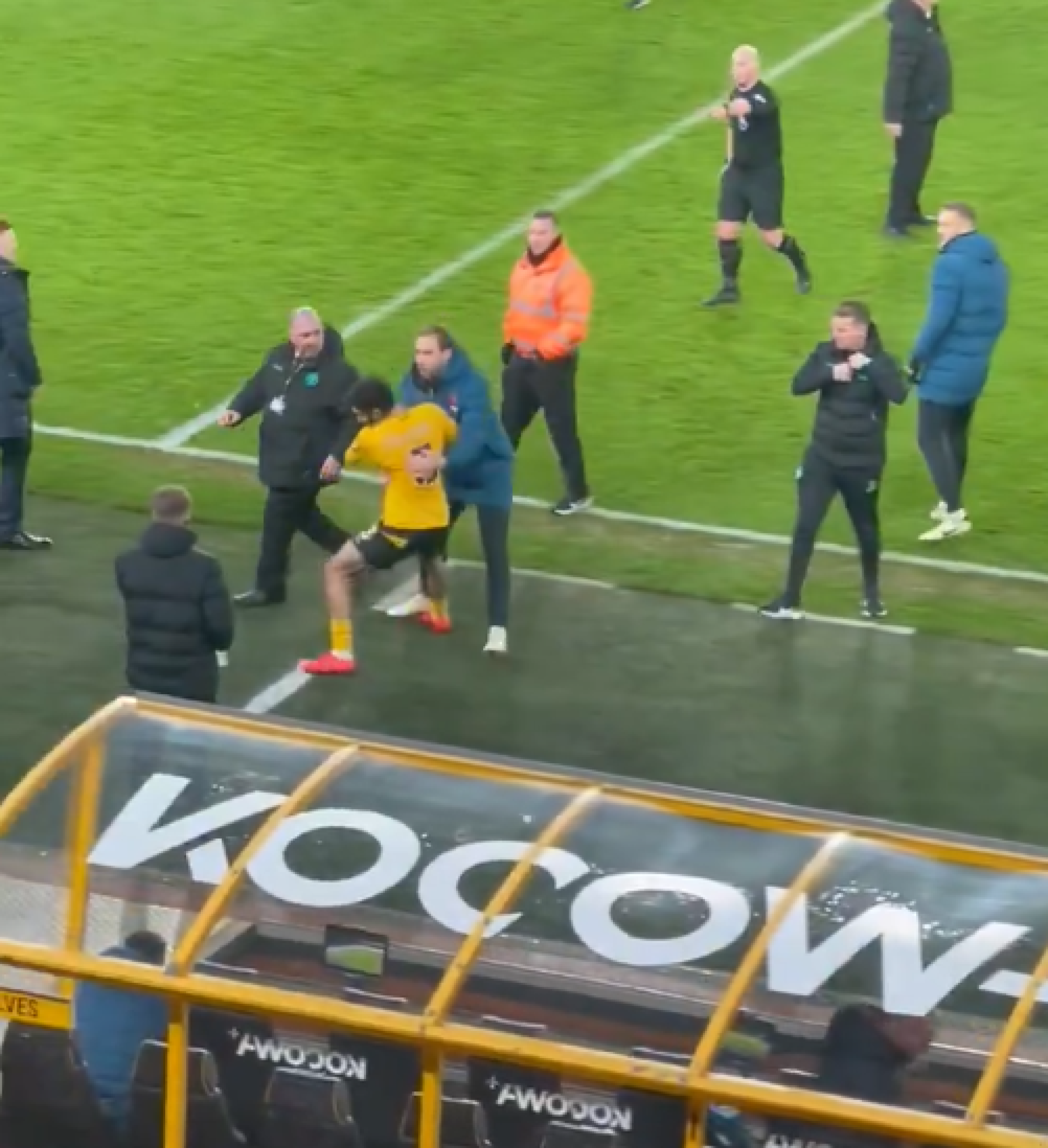 Wolves Players Clash Again After Defeat to Ipswich