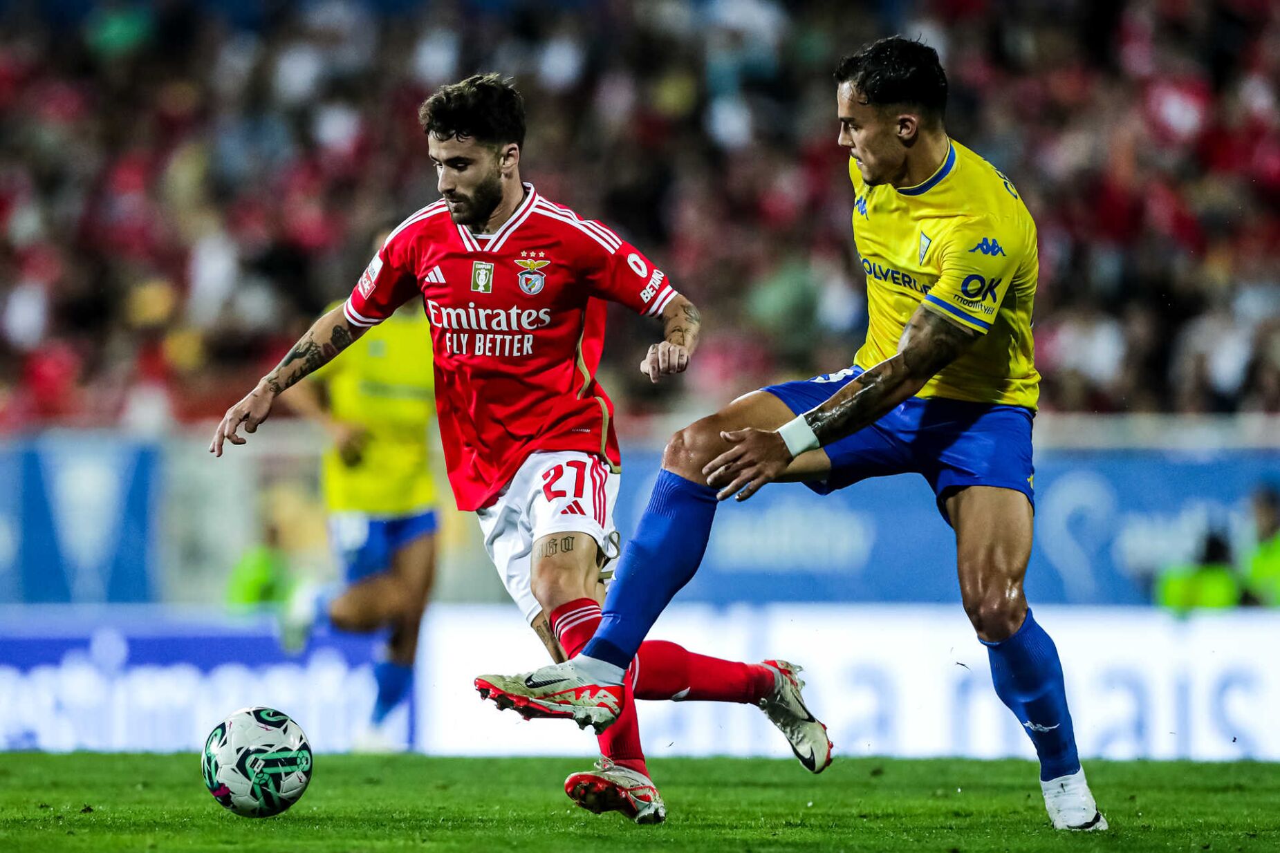 Roger Schmidt e o futuro de Rafa: Gostava que ficasse, mas teremos de  respeitar