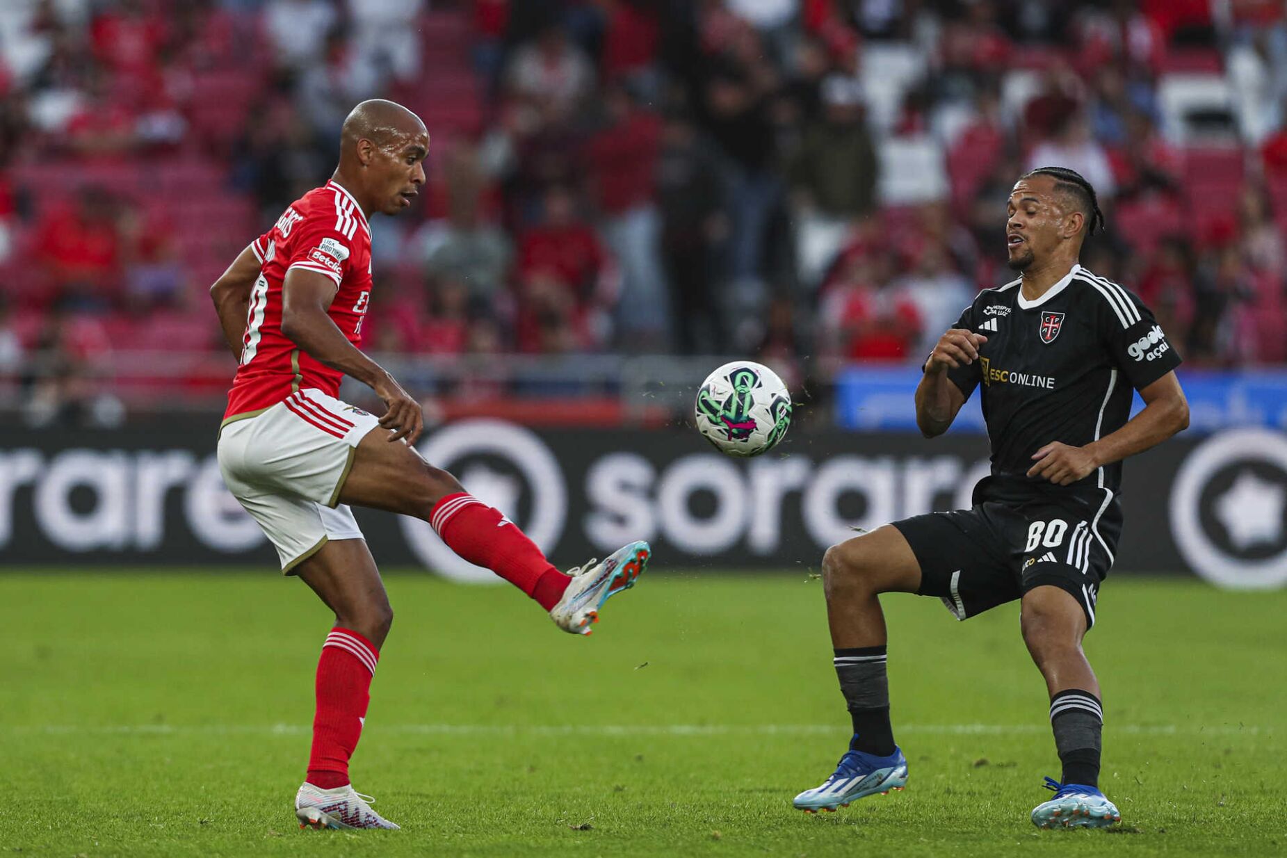 Casa Pia impõe empate ao Benfica no estádio da Luz - Radio Alfa