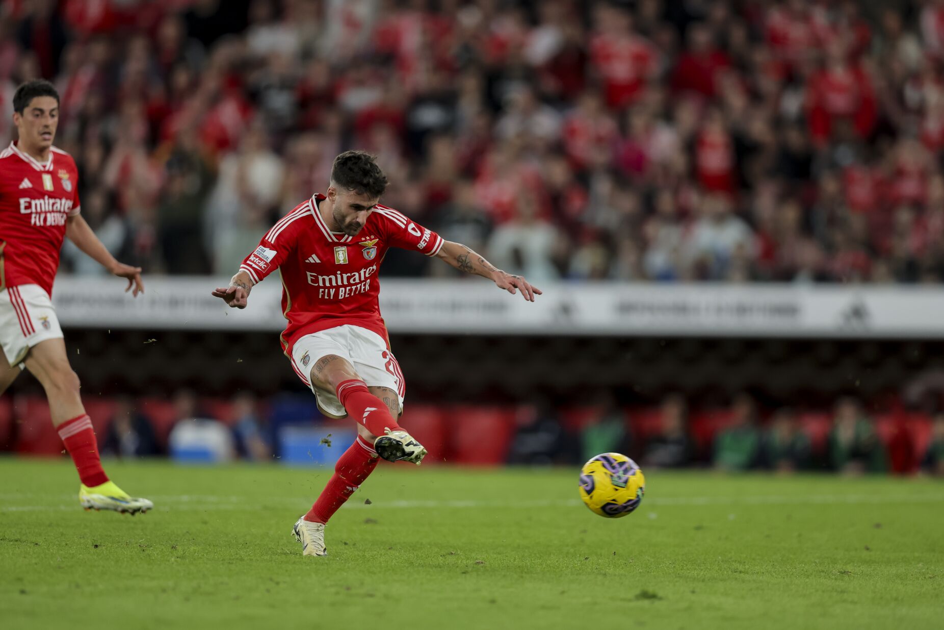 Roger Schmidt confirma saída de Rafa do Benfica