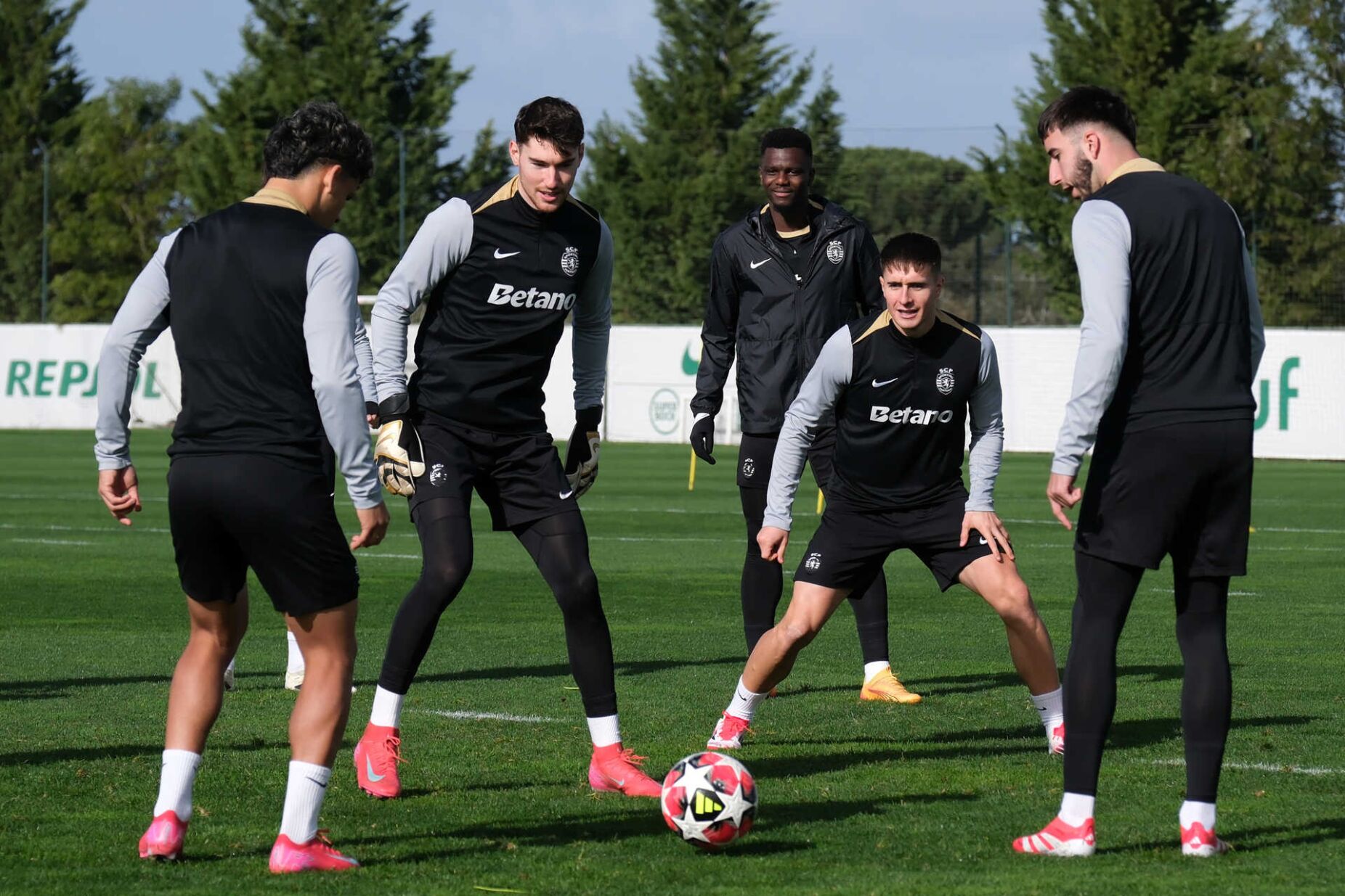 Gyokeres e Morita falham treino do Sporting na véspera da receção ao Dortmund