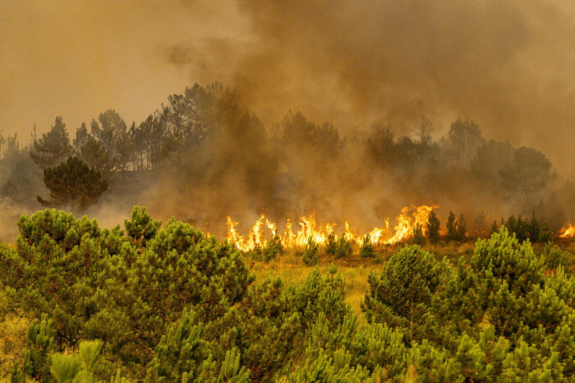 Prisão preventiva para suspeito de dois fogos em Seia
