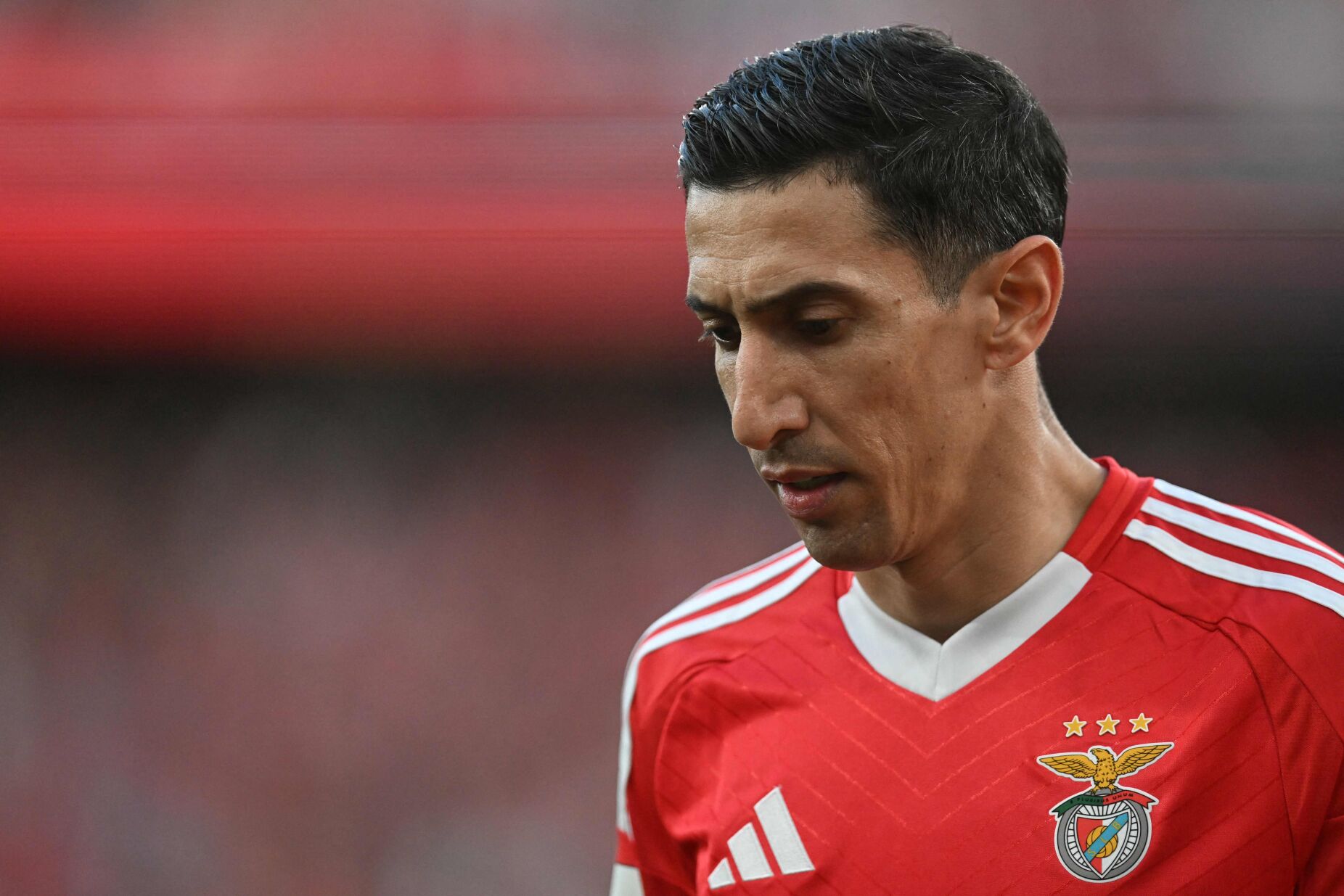 Di María deixa o Benfica depois do Mundial de Clubes, garantem na Argentina